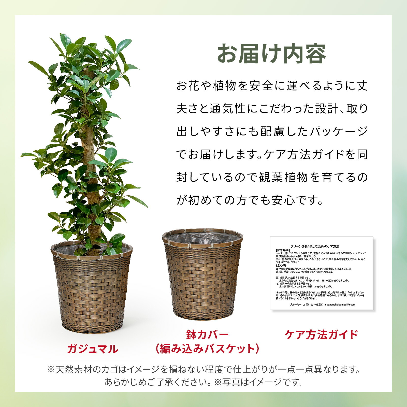 ガジュマル 7号 編み込みバスケット