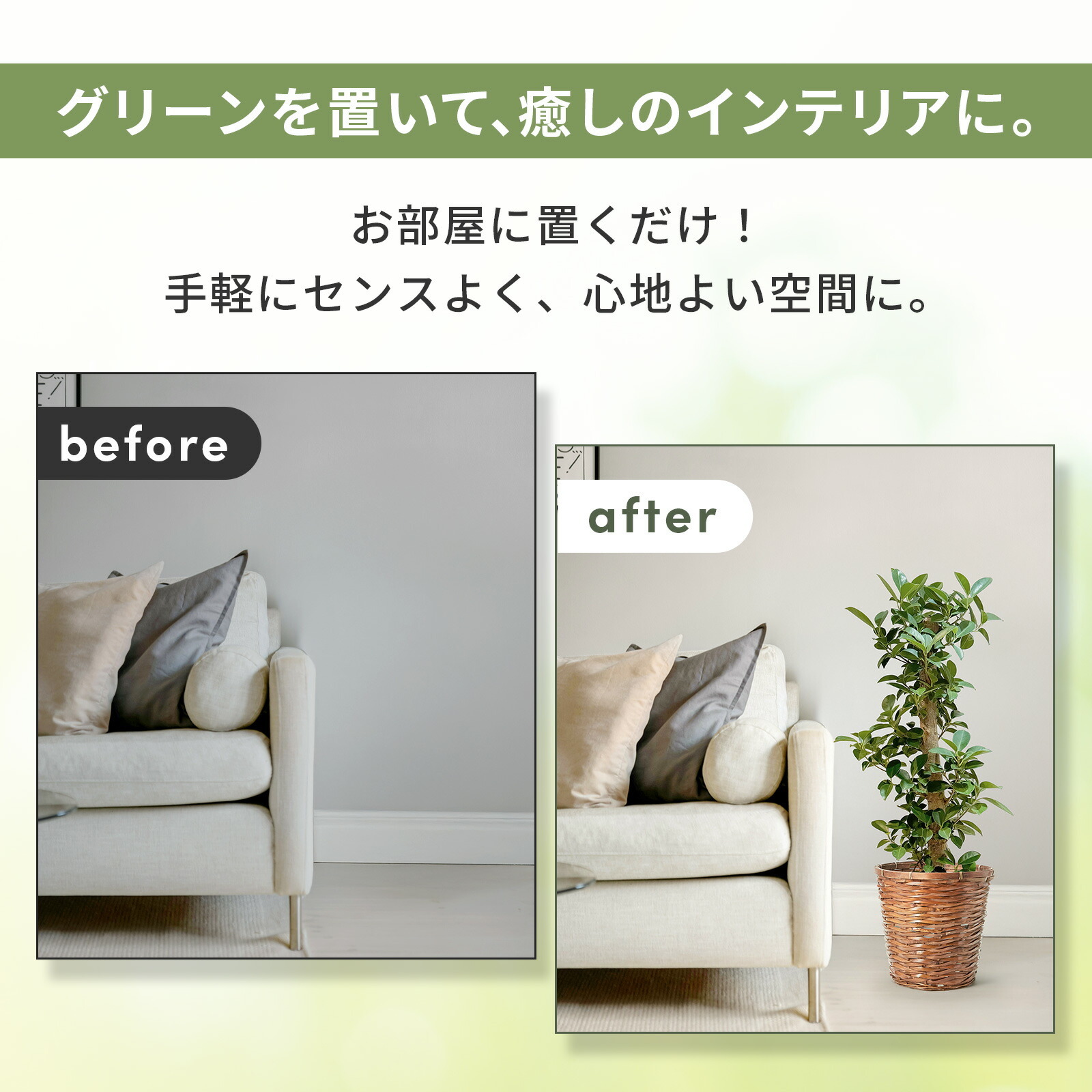 ガジュマル 7号 木目かご