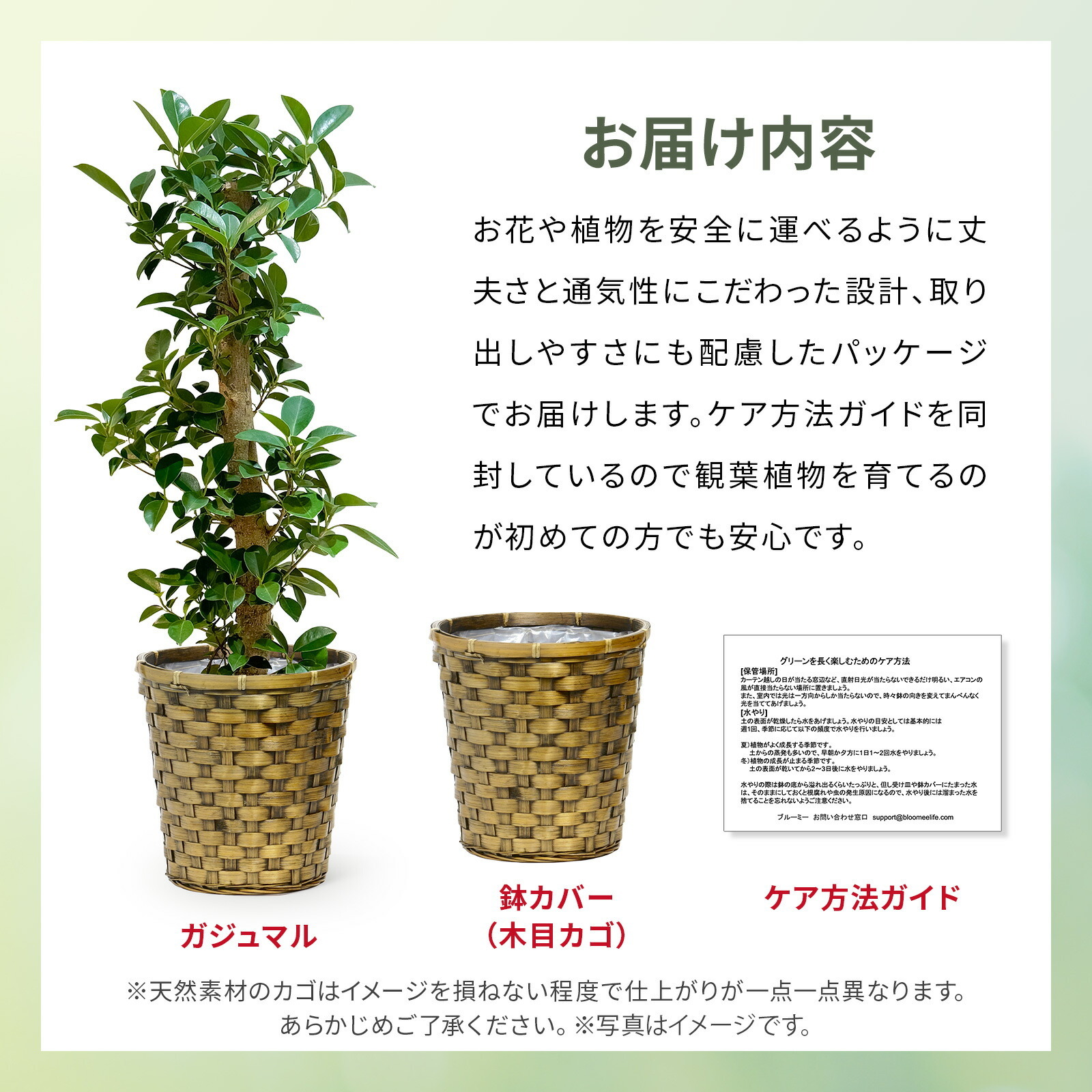 ガジュマル 7号 木目かご