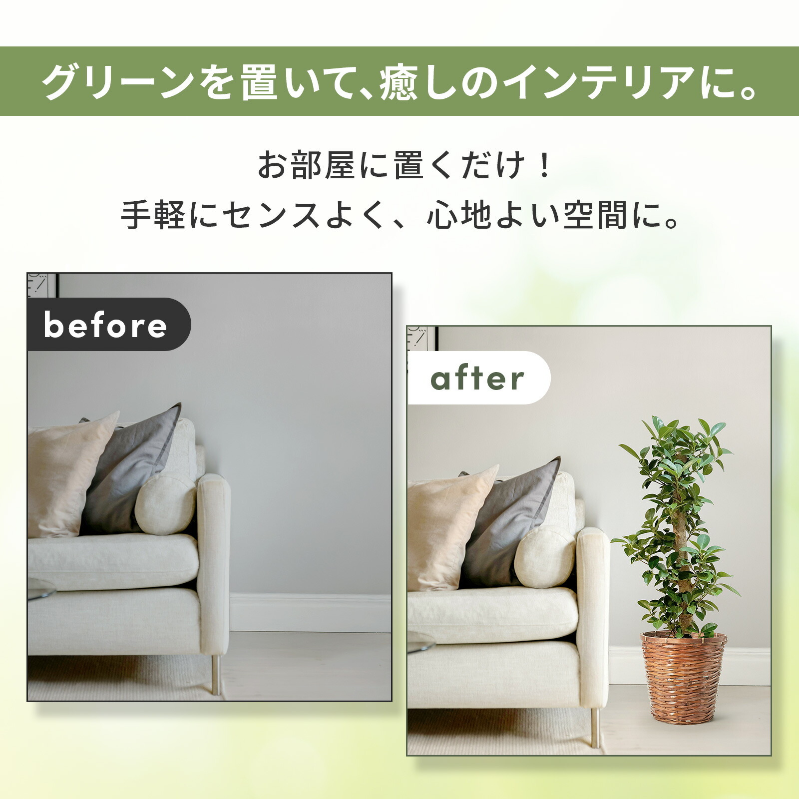 ガジュマル 7号 レザー調カバー