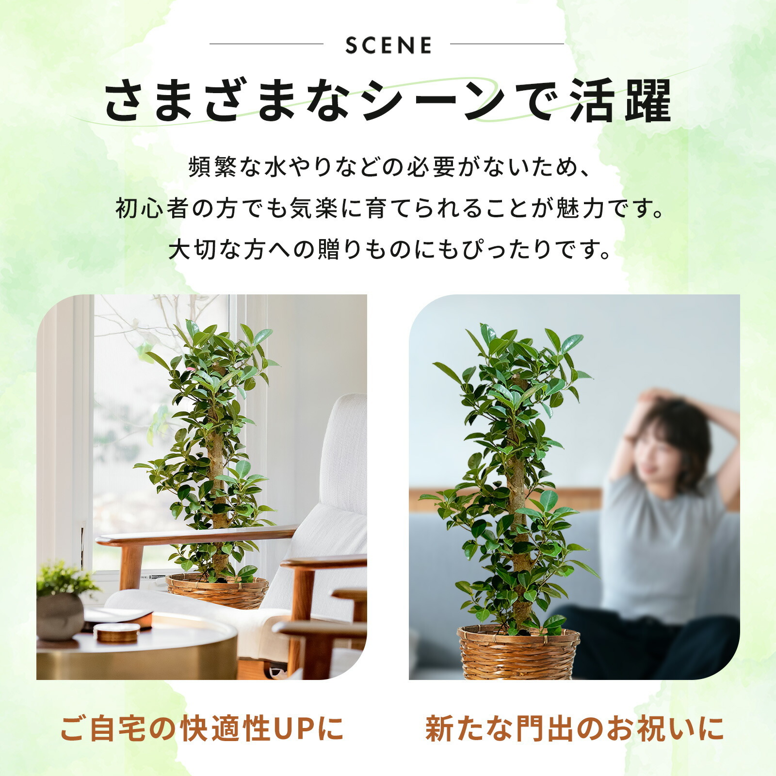 ガジュマル 7号 レザー調カバー