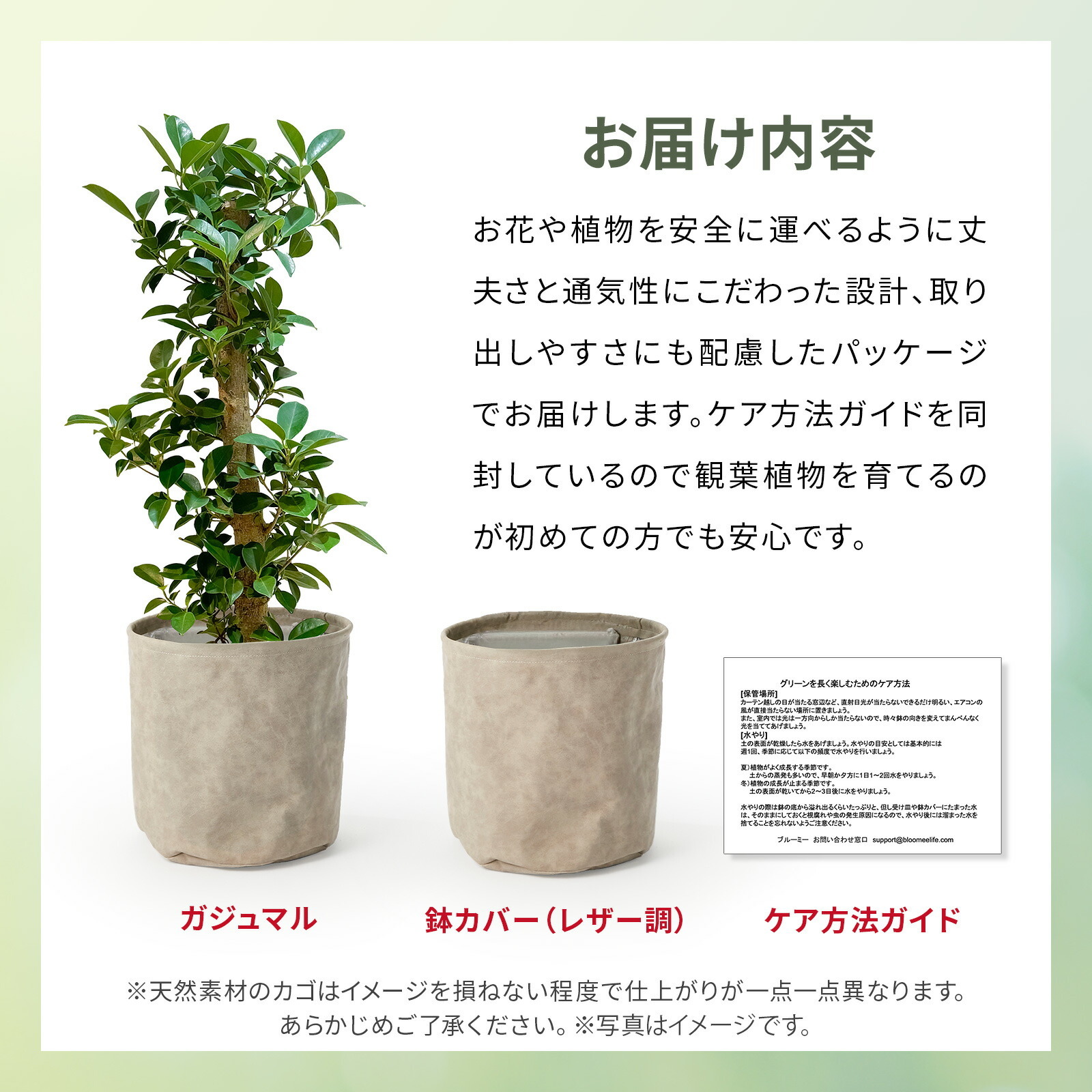 ガジュマル 7号 レザー調カバー