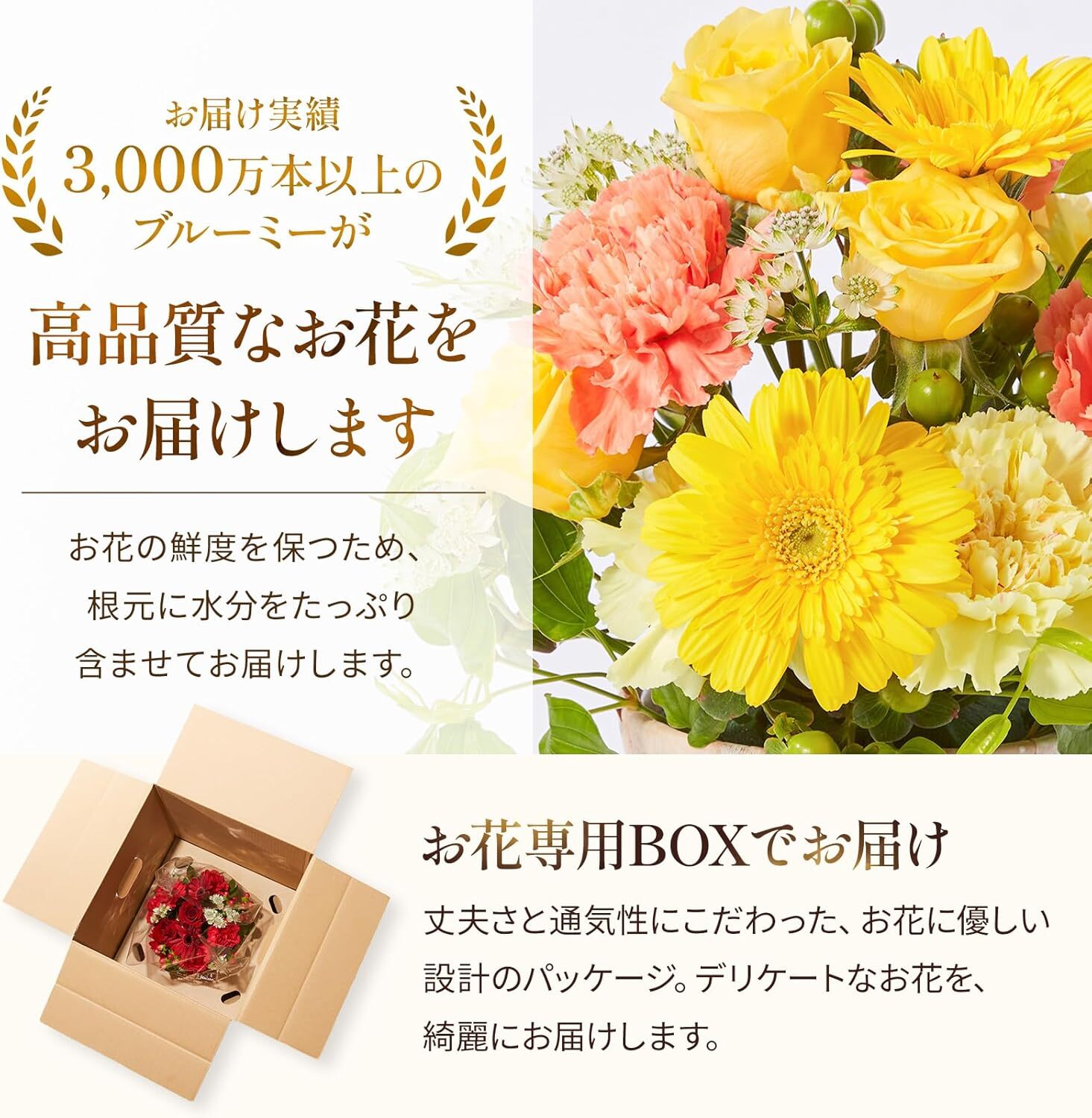 アレンジメント(ブルー) Mサイズ Happy Birthday カード付き