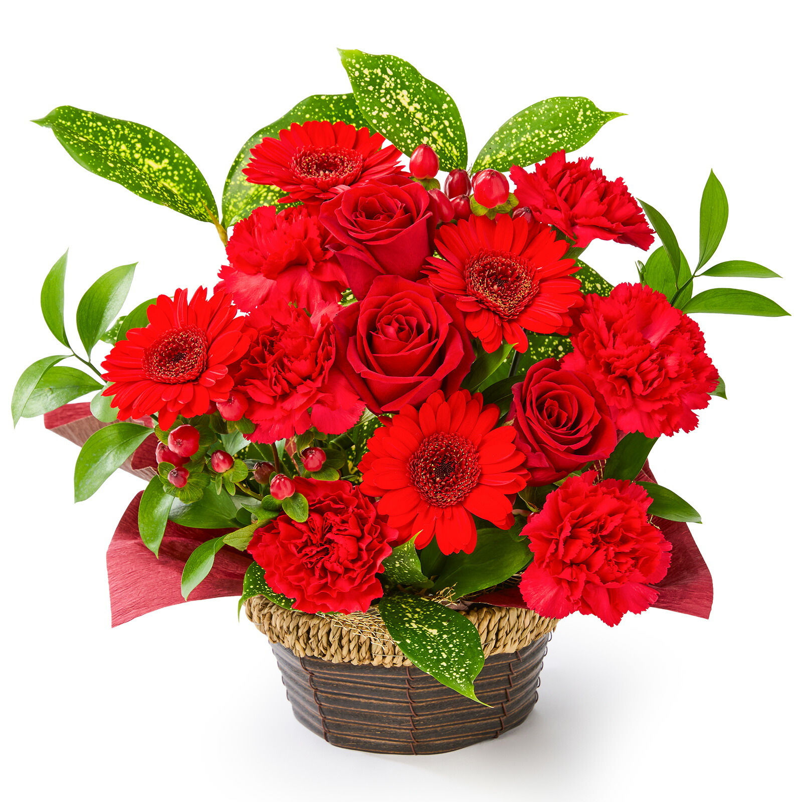 賀寿 長寿祝いアレンジメント(赤) 賀寿カード付き