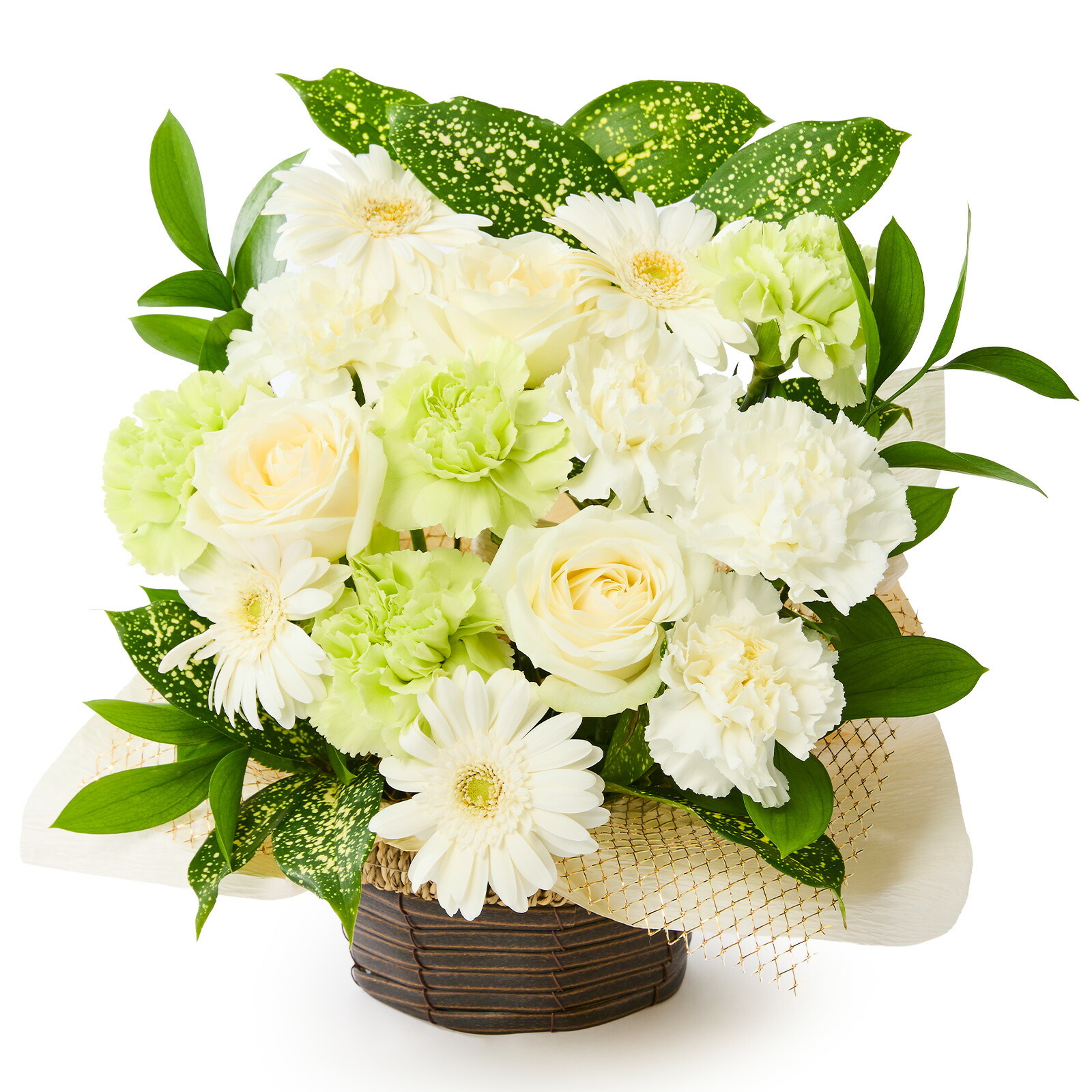 賀寿 長寿祝いアレンジメント(白) 賀寿カード付き