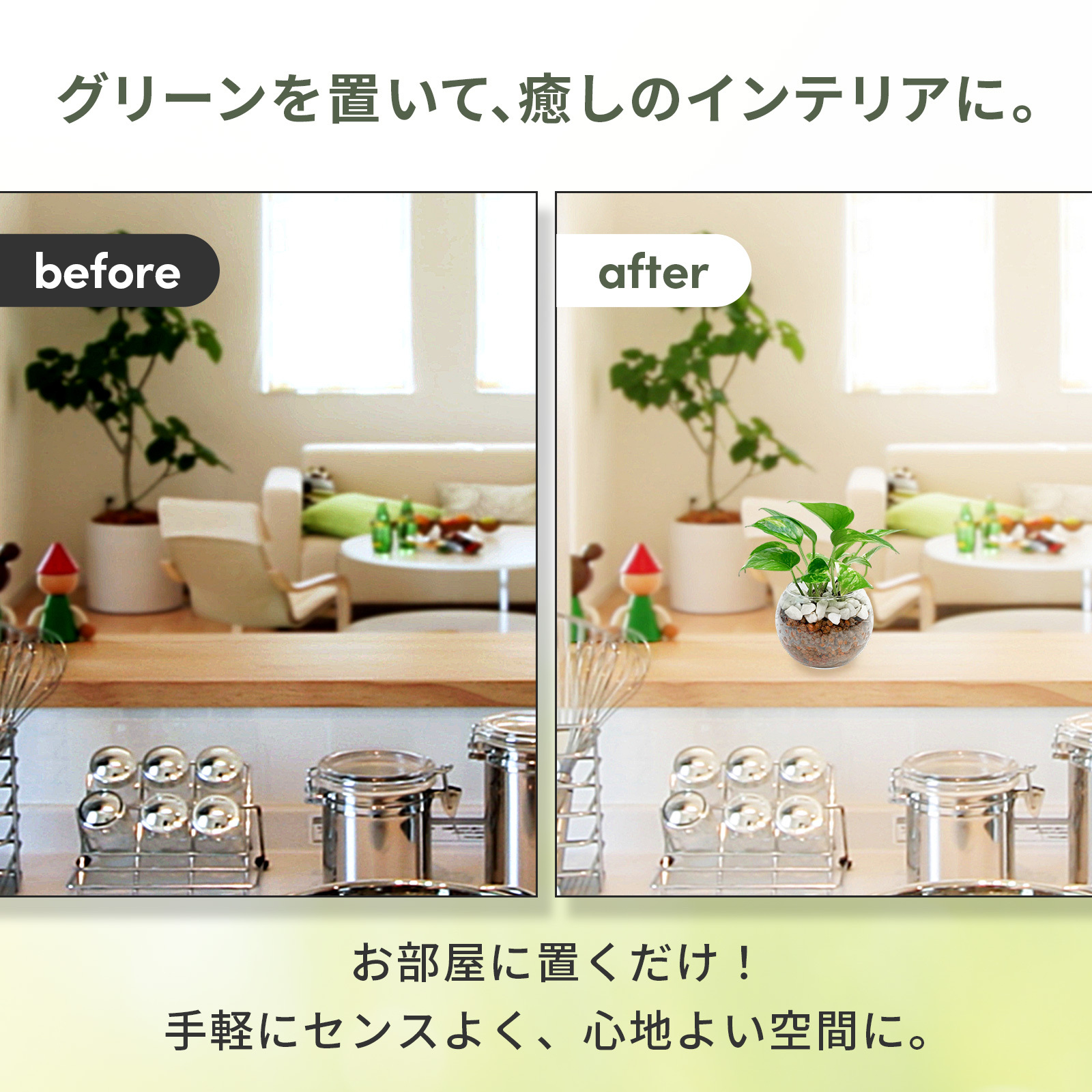 ポトス ３号 ハイドロカルチャー 観葉植物