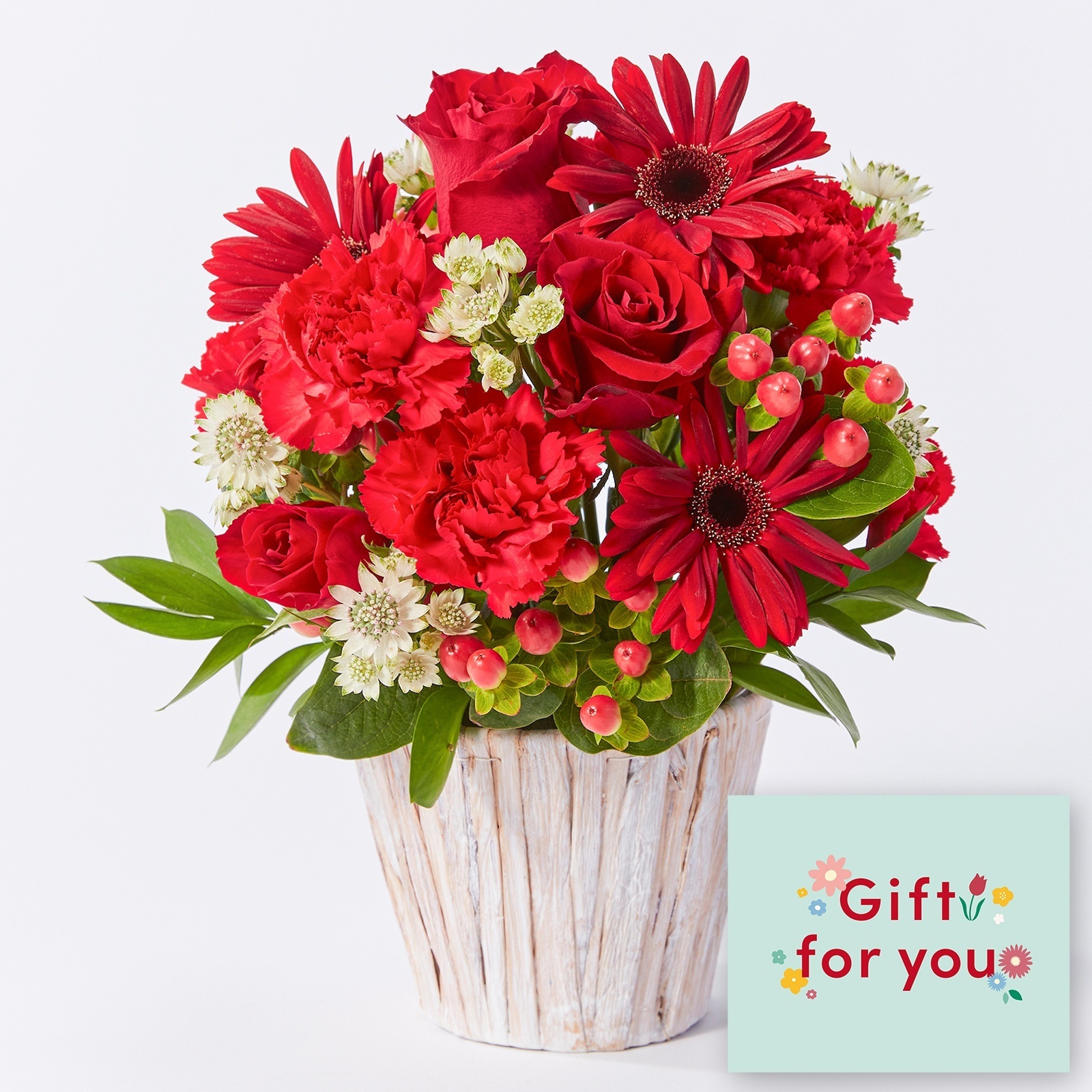 アレンジメント(赤) Mサイズ Gift for you カード付き