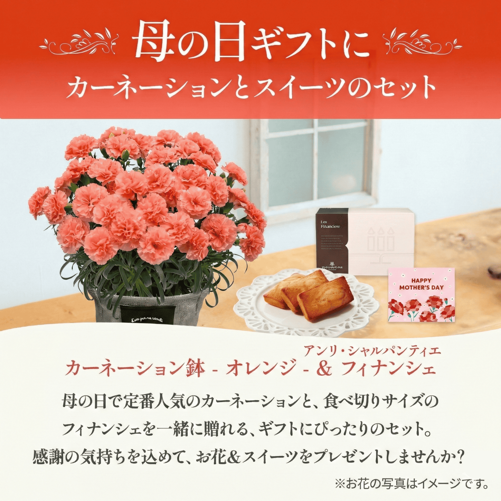 鉢植え カーネーション オレンジ(メープルシフォン) と アンリ・シャルパンティエ フィナンシェ のセット【母の日カード付き】