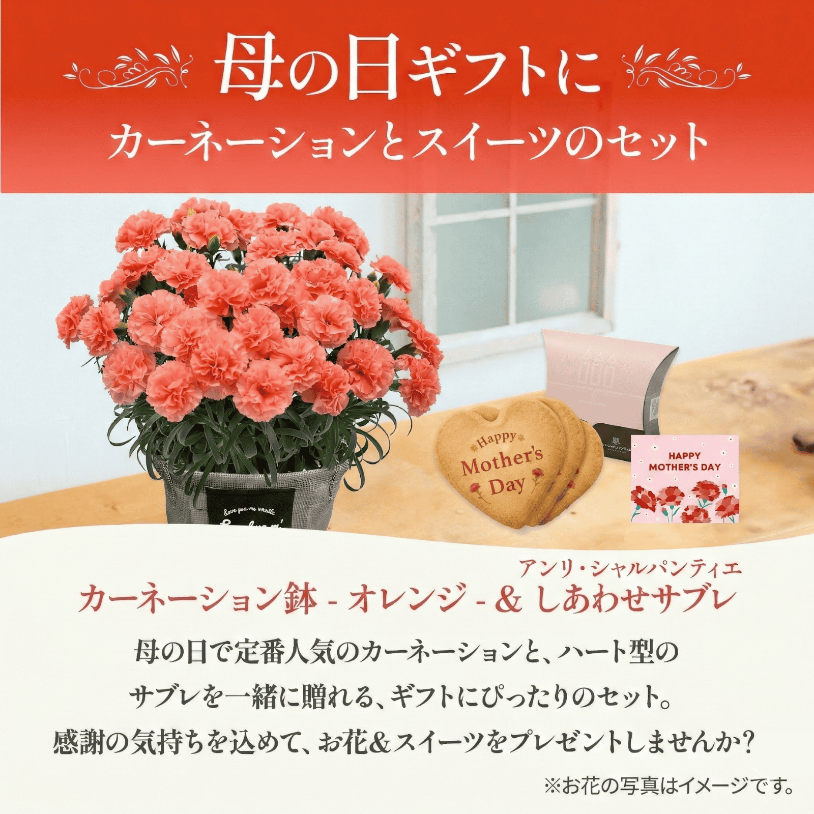 鉢植え カーネーション オレンジ(メープルシフォン) と アンリ・シャルパンティエ しあわせサブレ のセット【母の日カード付き】