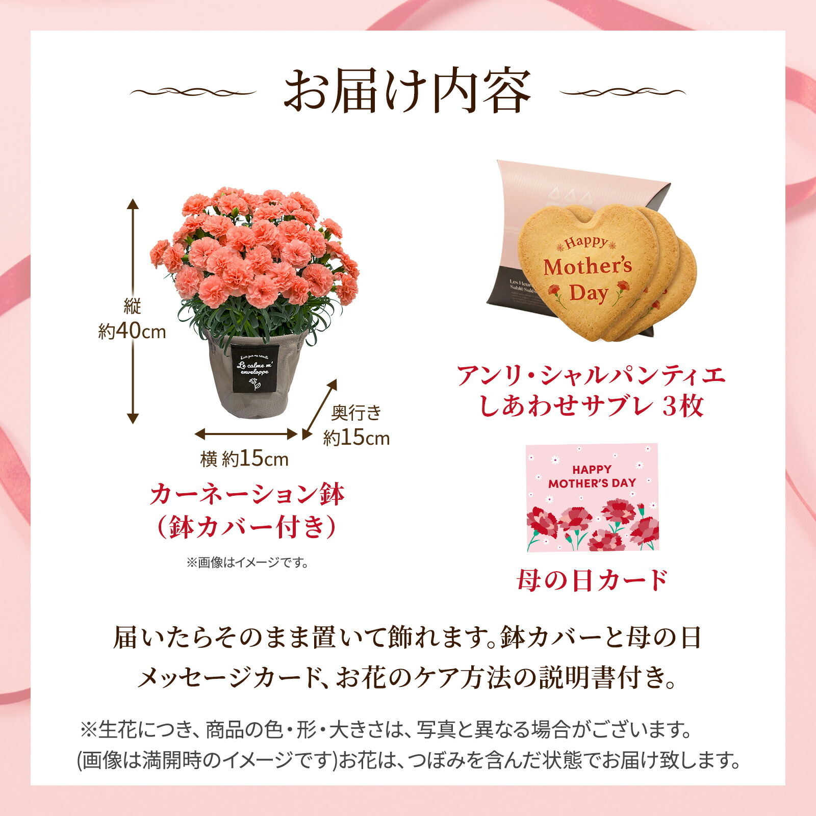 鉢植え カーネーション オレンジ(メープルシフォン) と アンリ・シャルパンティエ しあわせサブレ のセット【母の日カード付き】