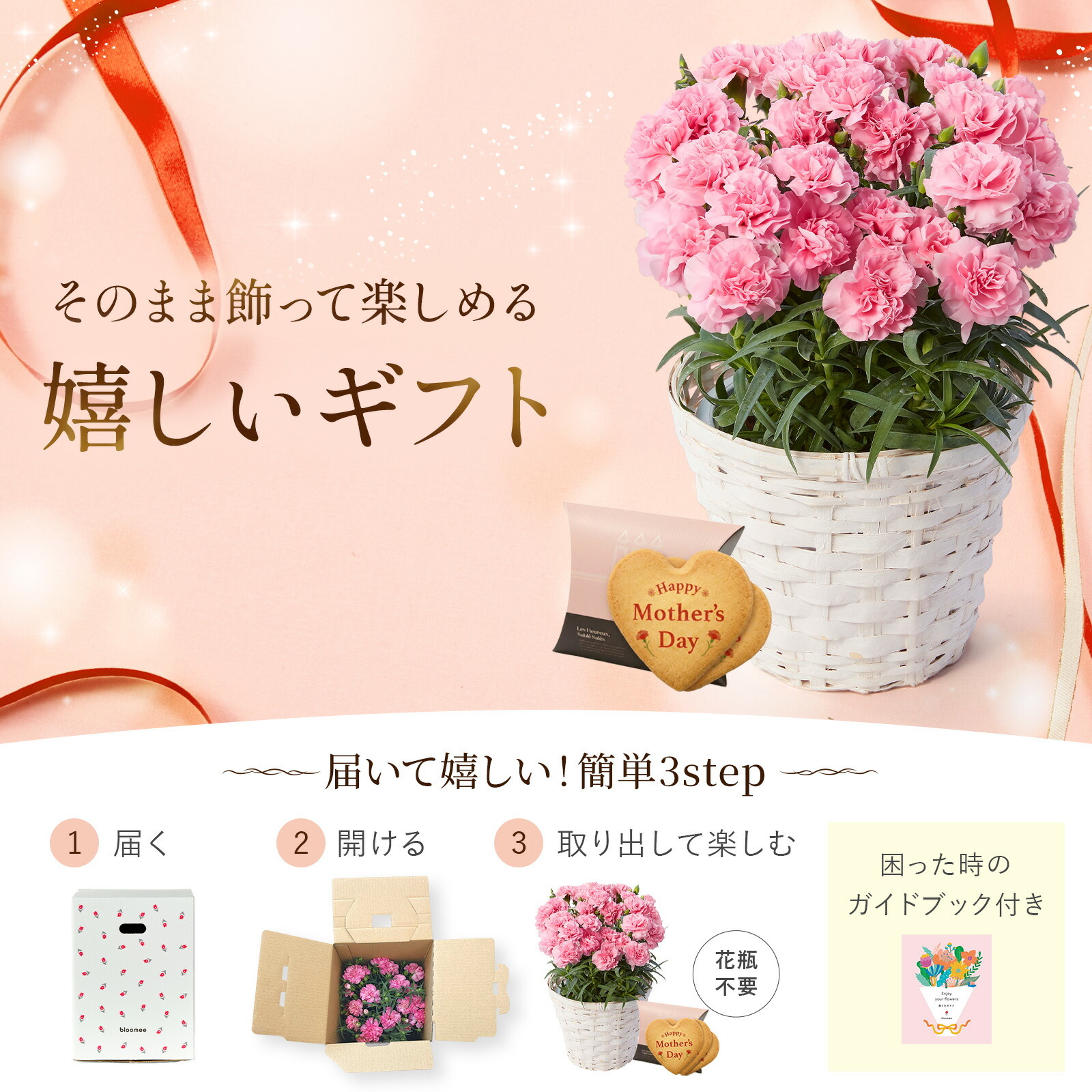 鉢植え カーネーション オレンジ(メープルシフォン) と アンリ・シャルパンティエ しあわせサブレ のセット【母の日カード付き】