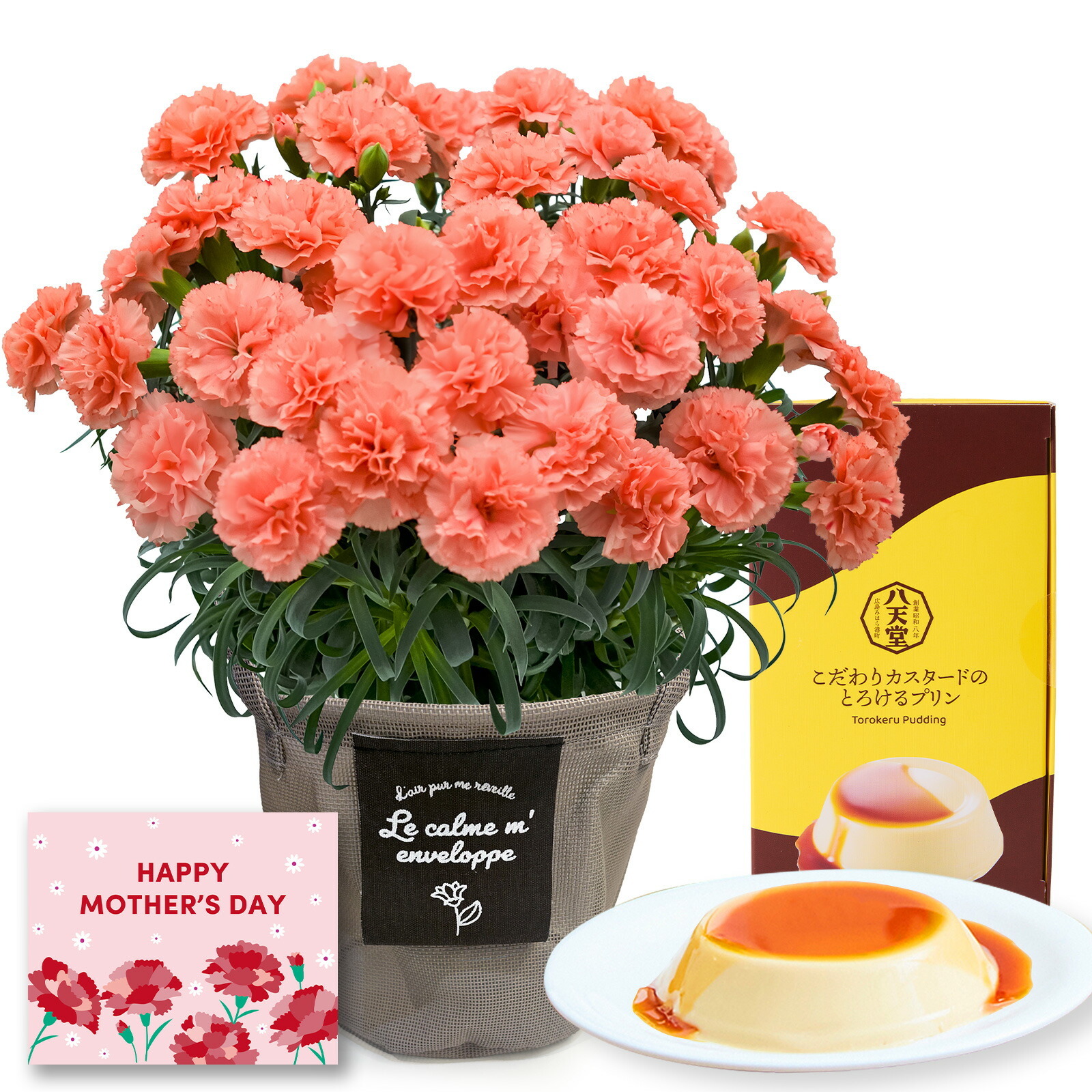 鉢植え カーネーション オレンジ(メープルシフォン) と 八天堂プリン のセット【母の日カード付き】