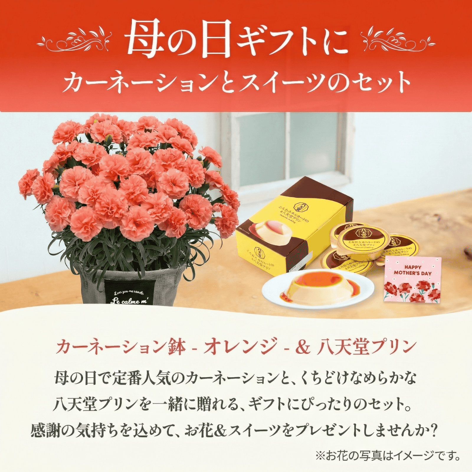 鉢植え カーネーション オレンジ(メープルシフォン) と 八天堂プリン のセット【母の日カード付き】