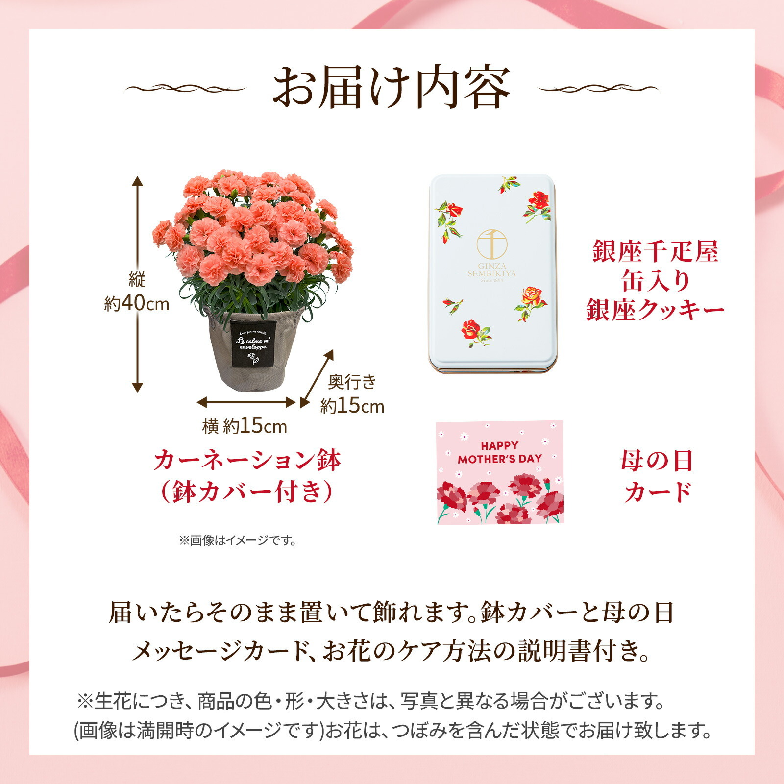 鉢植え カーネーション オレンジ(メープルシフォン)と 銀座千疋屋クッキー のセット【母の日カード付き】