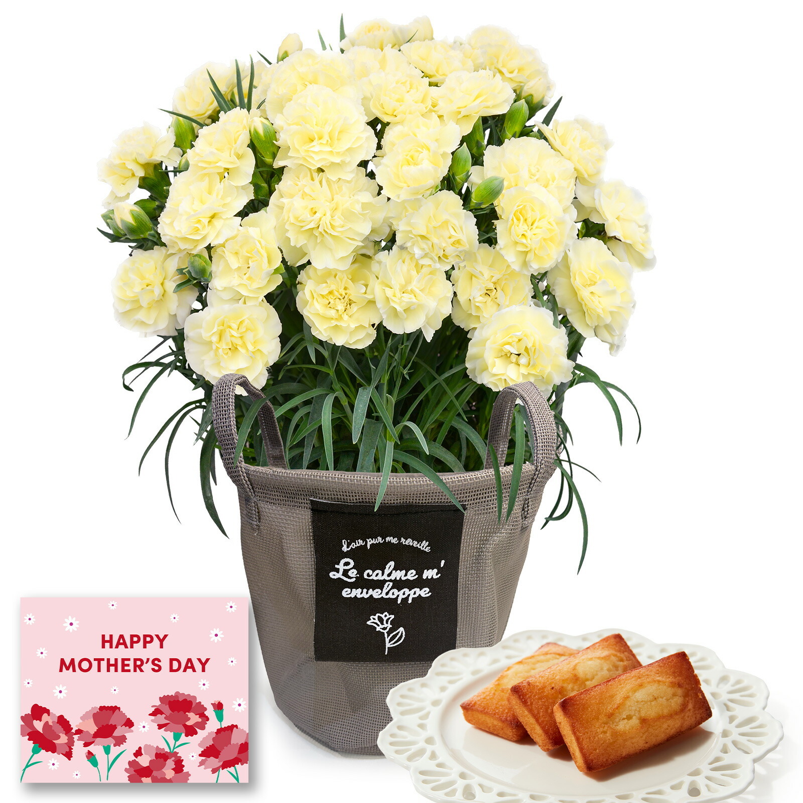 鉢植え カーネーション クリーム(ムーンティアラ) と アンリ・シャルパンティエ フィナンシェ のセット【母の日カード付き】