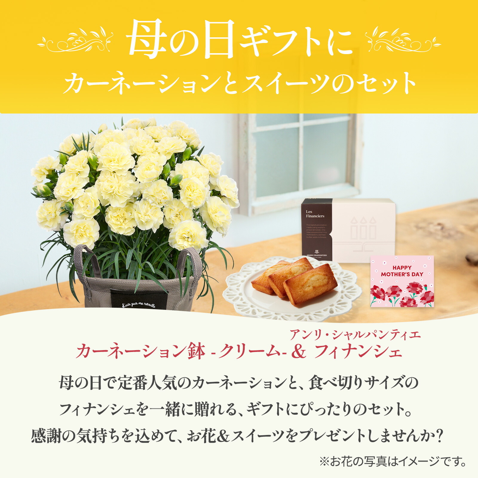 鉢植え カーネーション クリーム(ムーンティアラ) と アンリ・シャルパンティエ フィナンシェ のセット【母の日カード付き】