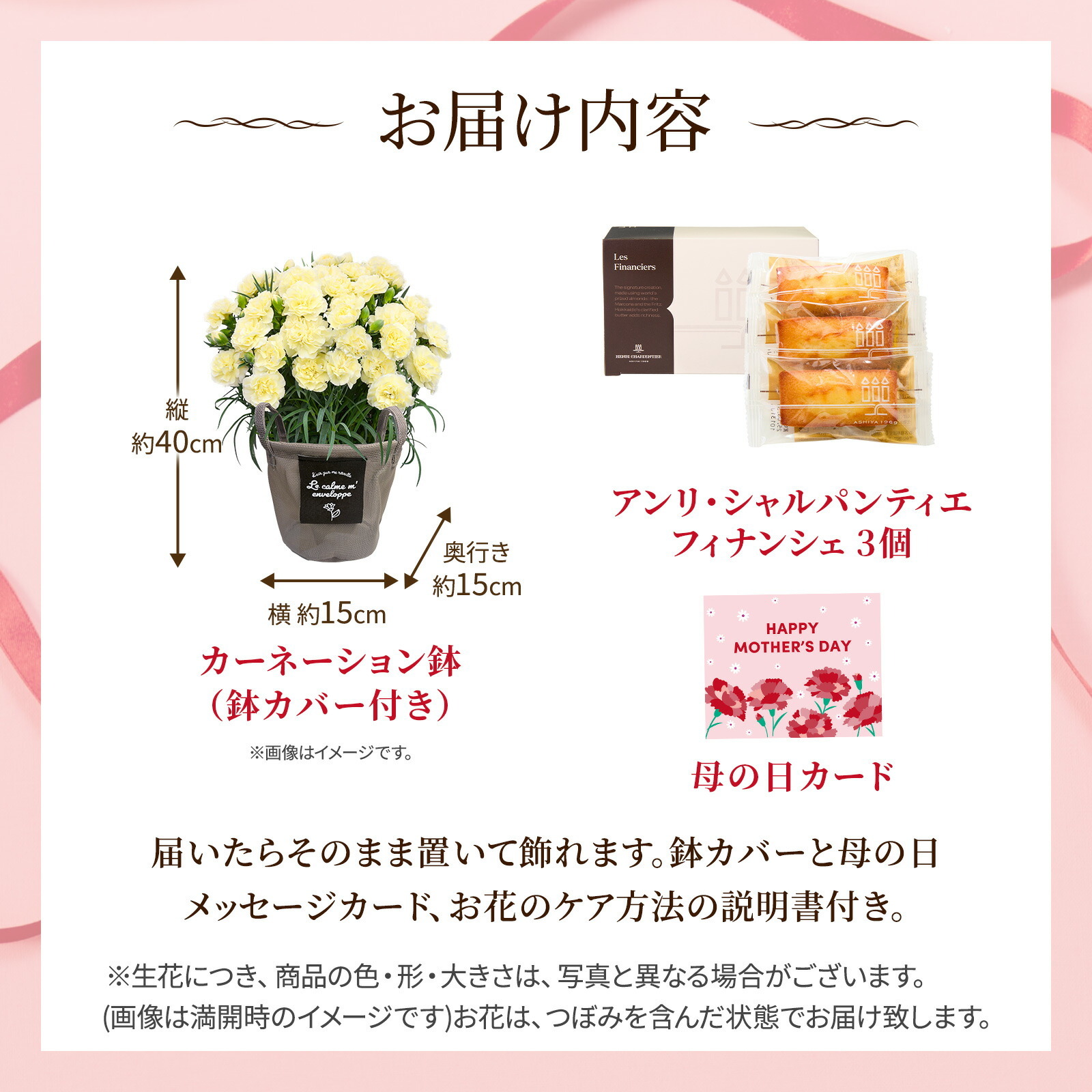 鉢植え カーネーション クリーム(ムーンティアラ) と アンリ・シャルパンティエ フィナンシェ のセット【母の日カード付き】