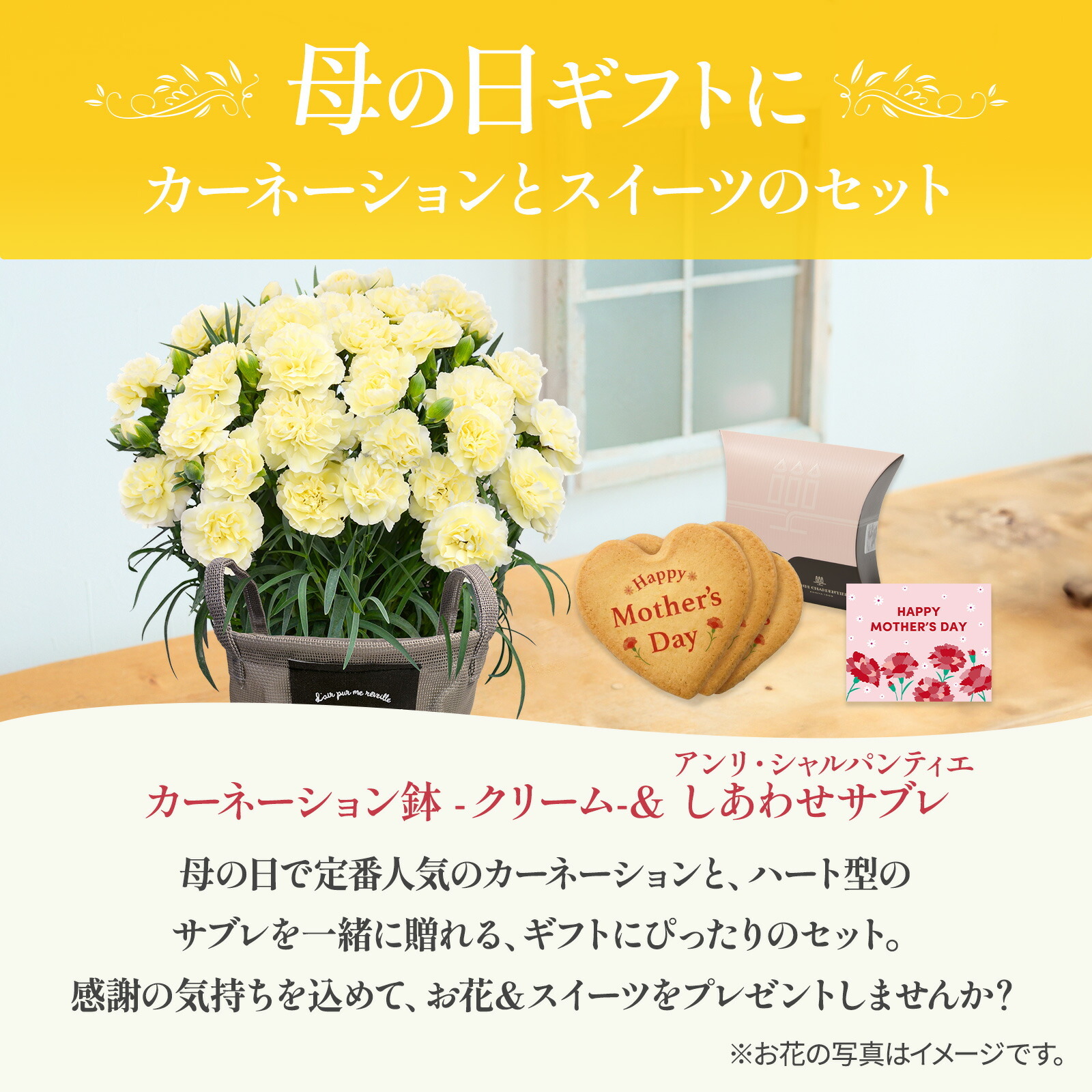 鉢植え カーネーション クリーム(ムーンティアラ)と アンリ・シャルパンティエ しあわせサブレ のセット【母の日カード付き】