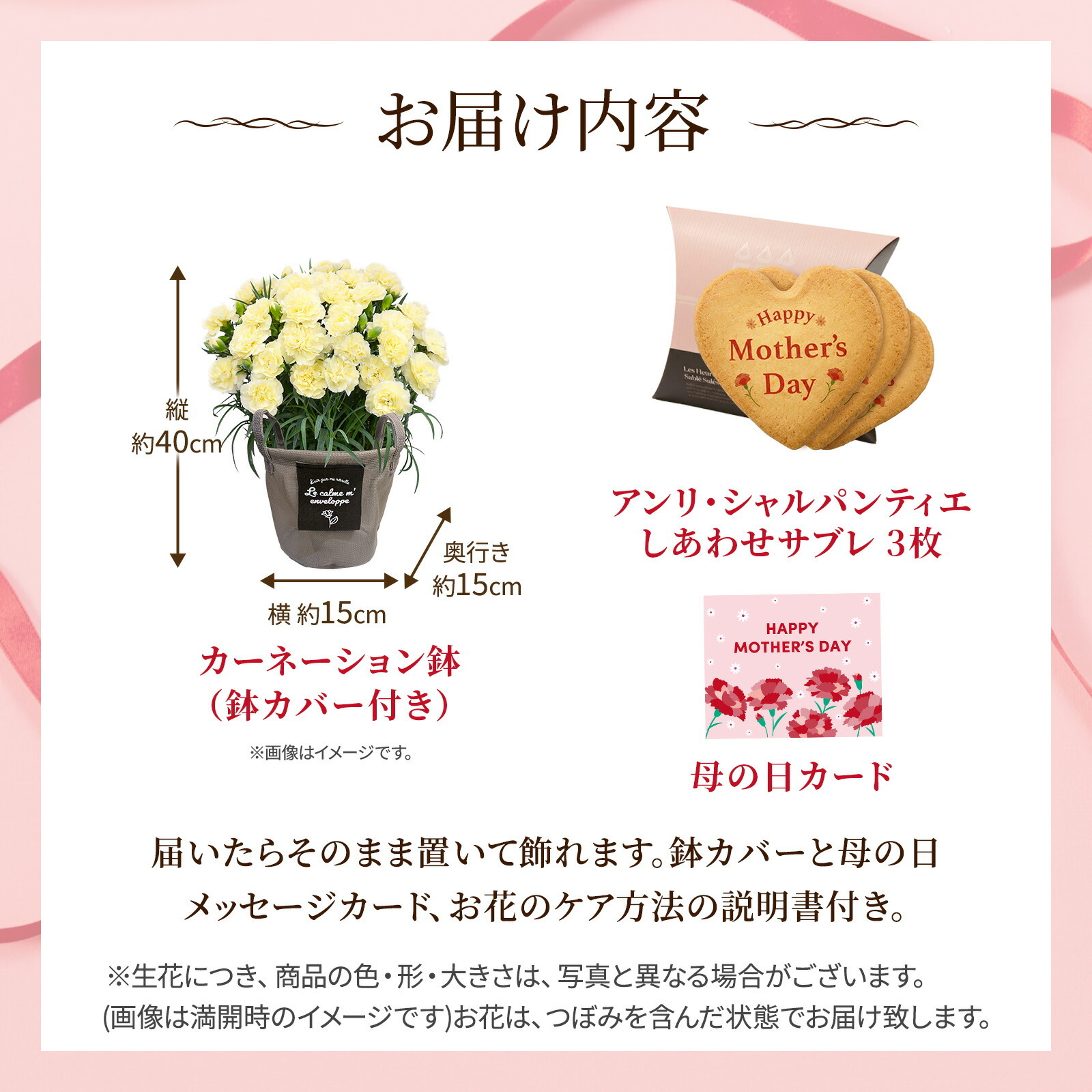 鉢植え カーネーション クリーム(ムーンティアラ)と アンリ・シャルパンティエ しあわせサブレ のセット【母の日カード付き】