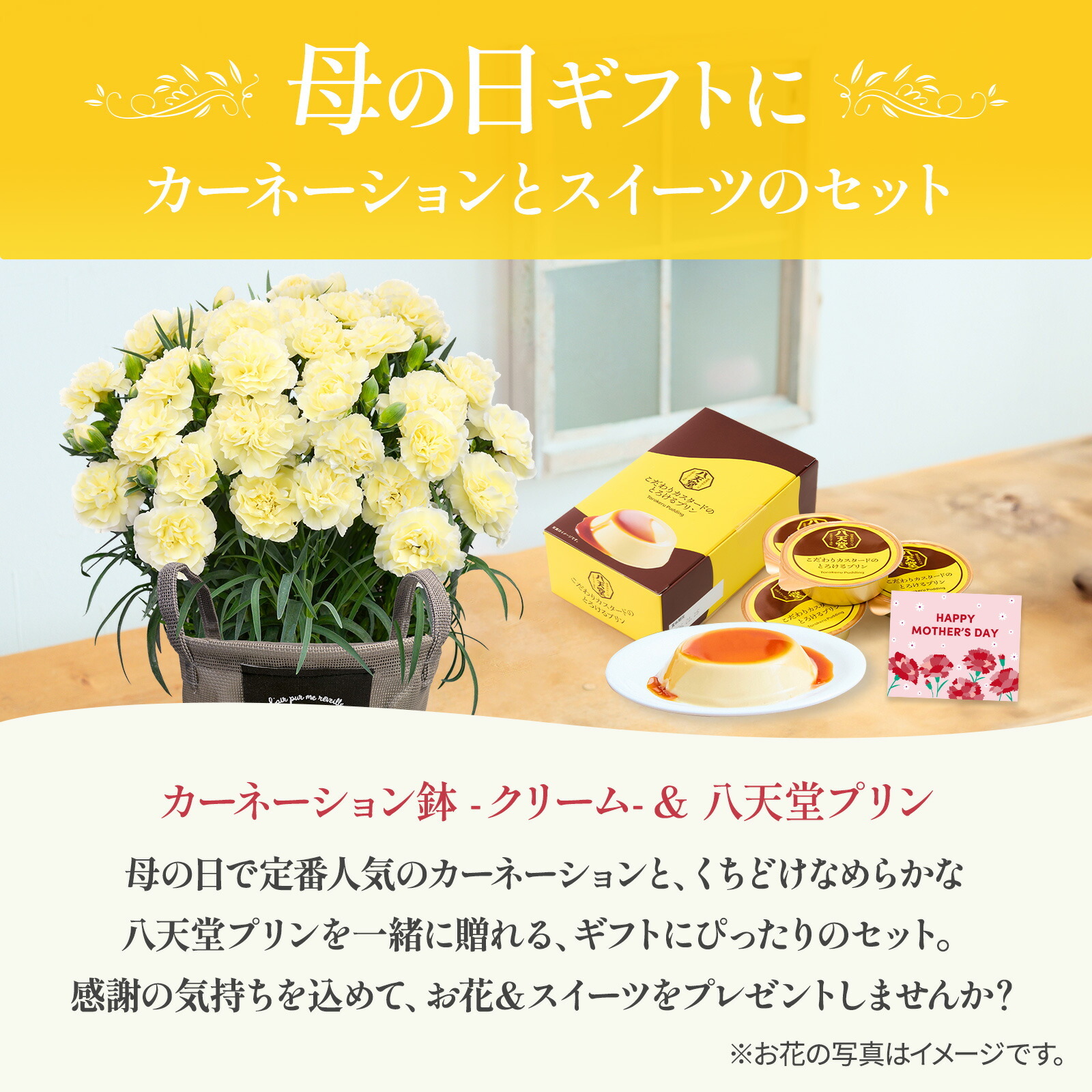 鉢植え カーネーション クリーム(ムーンティアラ)と 八天堂プリン のセット【母の日カード付き】