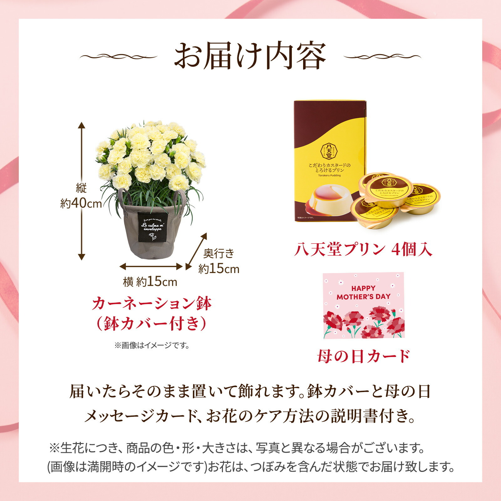 鉢植え カーネーション クリーム(ムーンティアラ)と 八天堂プリン のセット【母の日カード付き】