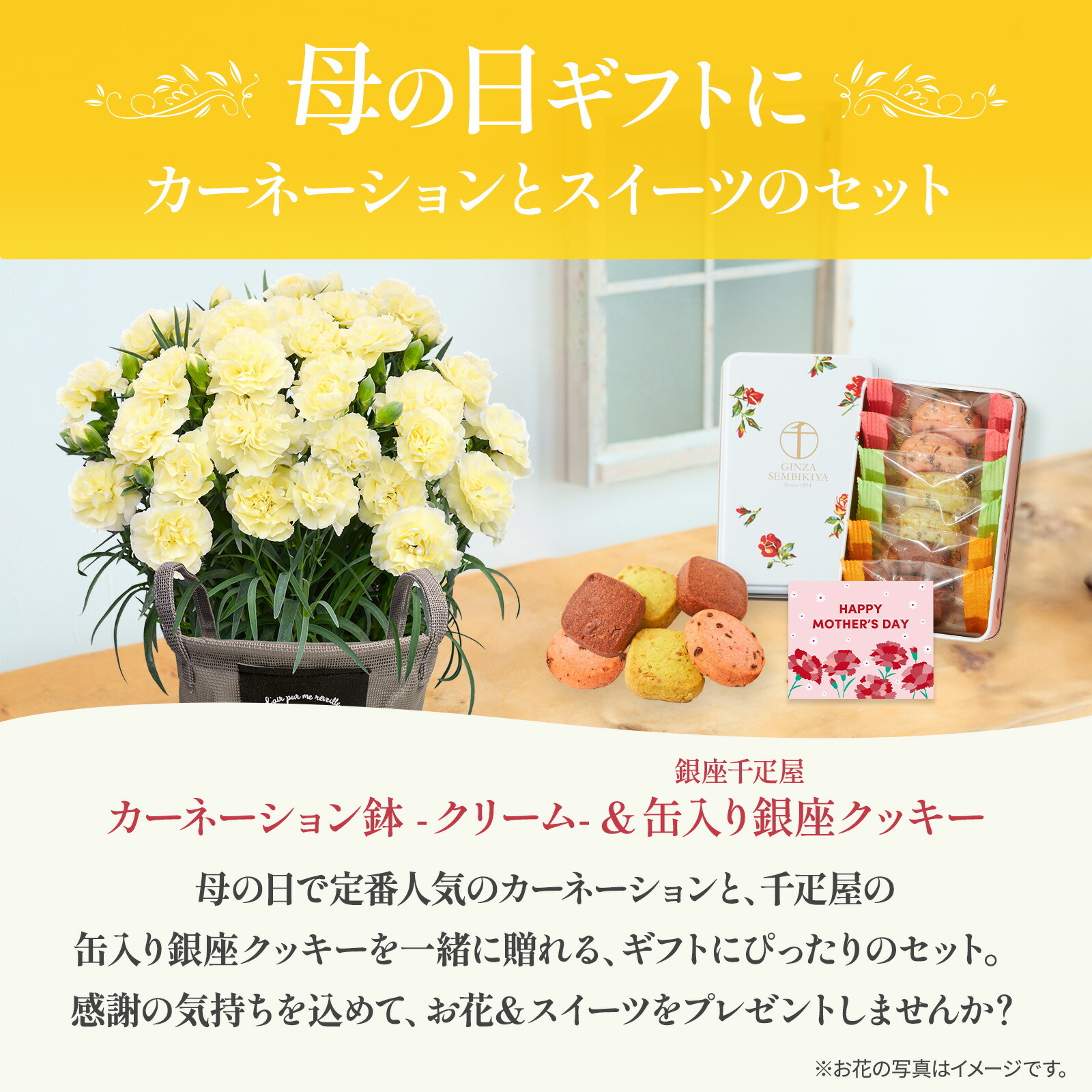 鉢植え カーネーション クリーム(ムーンティアラ)と 銀座千疋屋クッキー のセット【母の日カード付き】