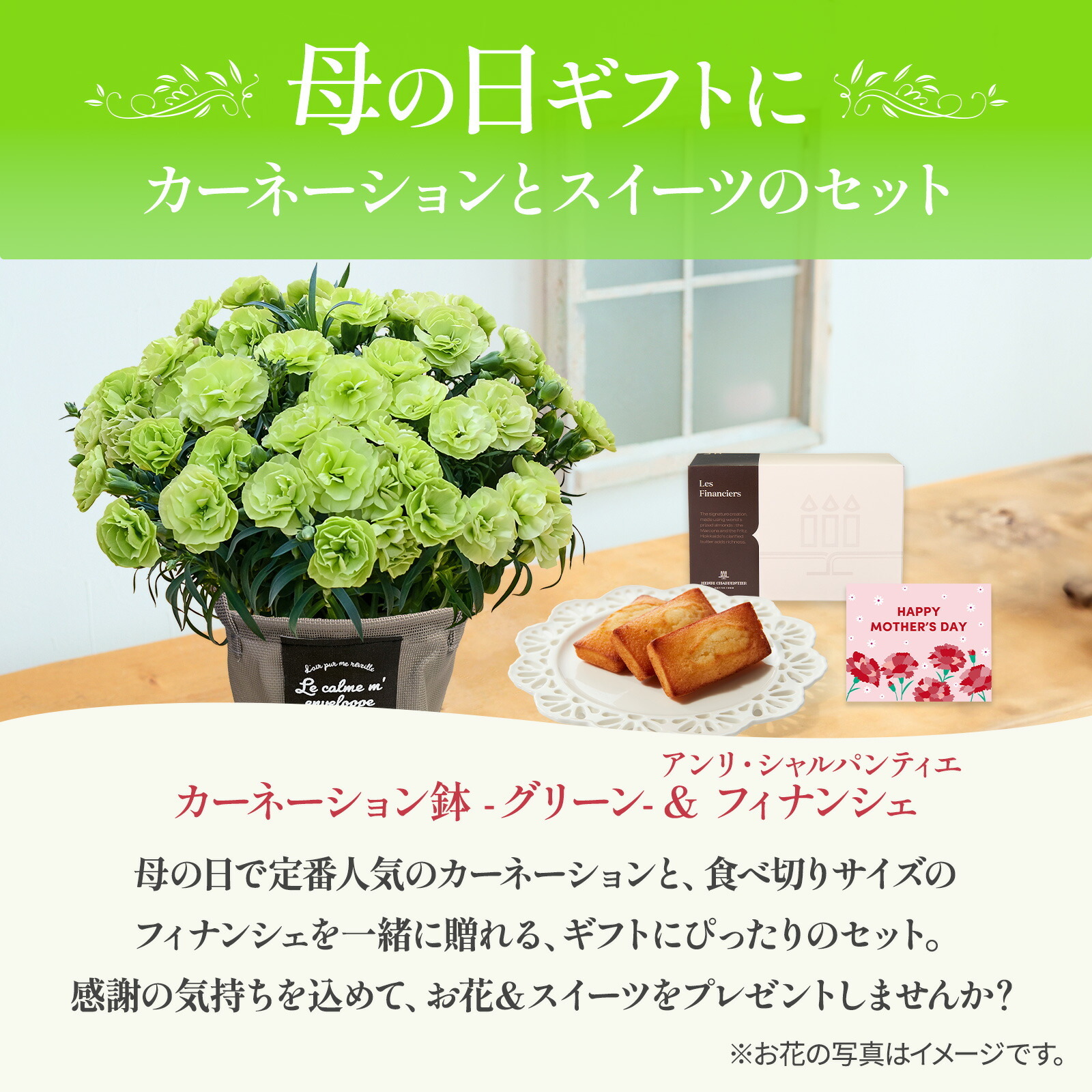 鉢植え カーネーション 緑色(スフェン) と アンリ・シャルパンティエ フィナンシェ のセット【母の日カード付き】