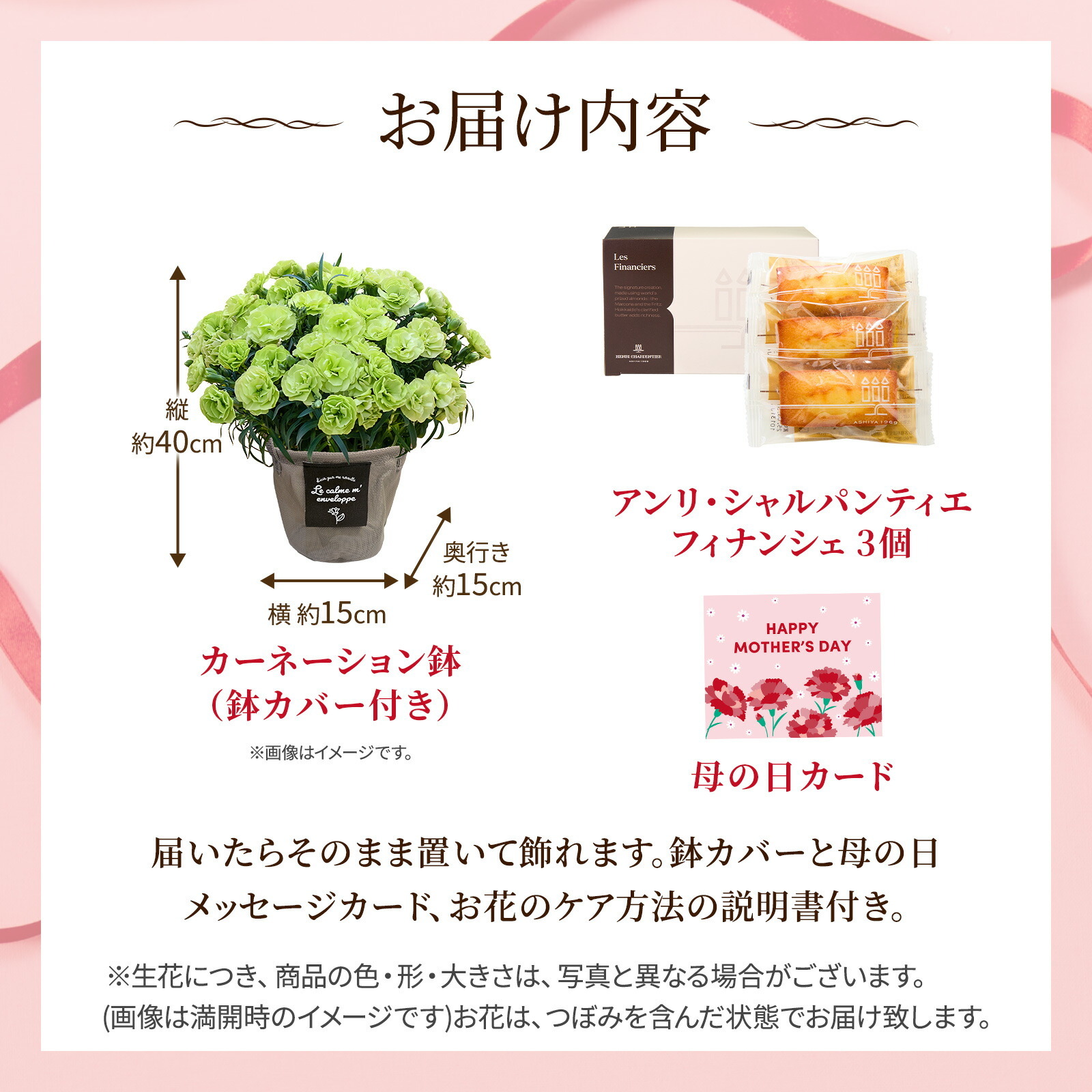 鉢植え カーネーション 緑色(スフェン) と アンリ・シャルパンティエ フィナンシェ のセット【母の日カード付き】