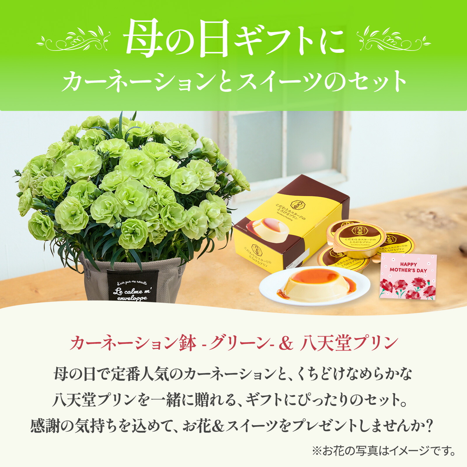 鉢植え カーネーション 緑色(スフェン) と 八天堂プリン のセット【母の日カード付き】