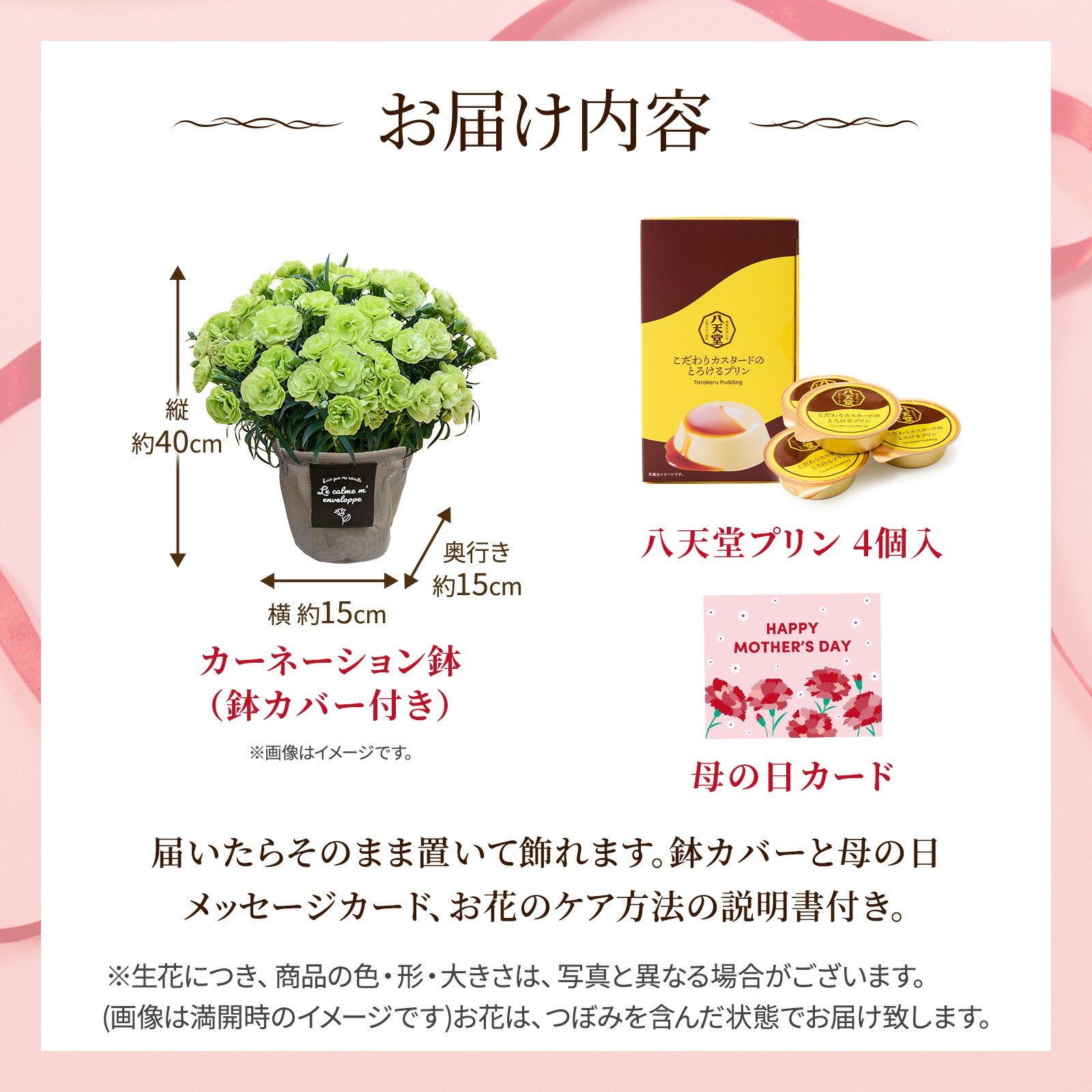 鉢植え カーネーション 緑色(スフェン) と 八天堂プリン のセット【母の日カード付き】