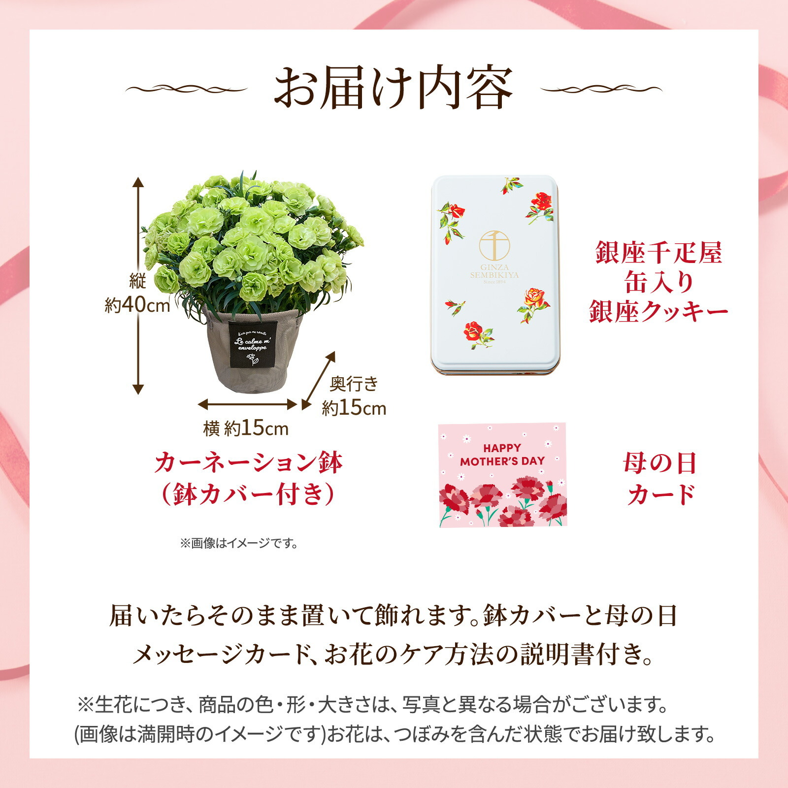 鉢植え カーネーション 緑色(スフェン) と 銀座千疋屋クッキー のセット【母の日カード付き】