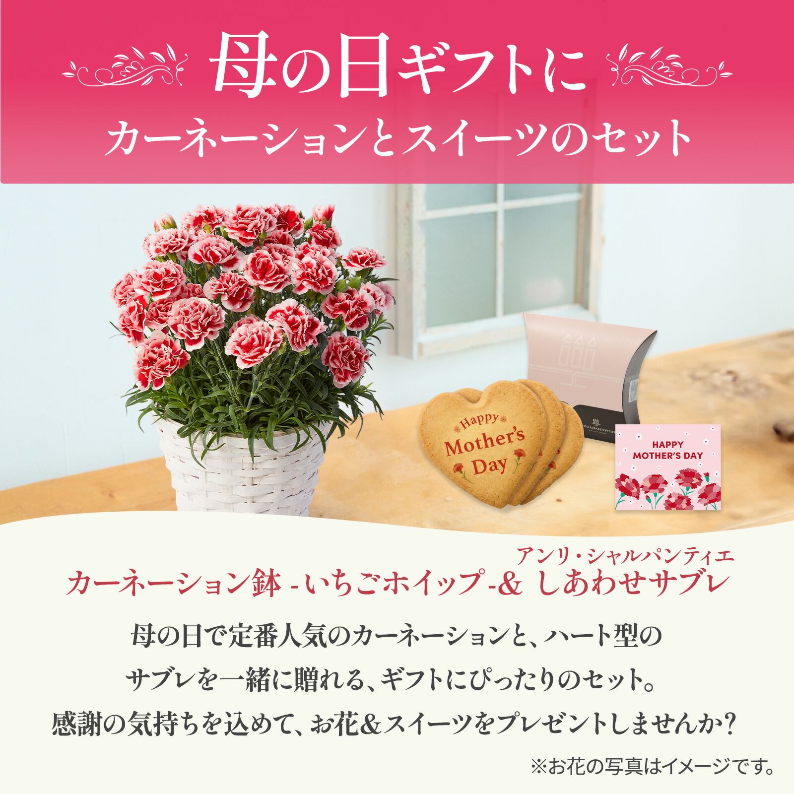 鉢植え カーネーション いちごホイップ と アンリ・シャルパンティエ しあわせサブレ のセット【母の日カード付き】