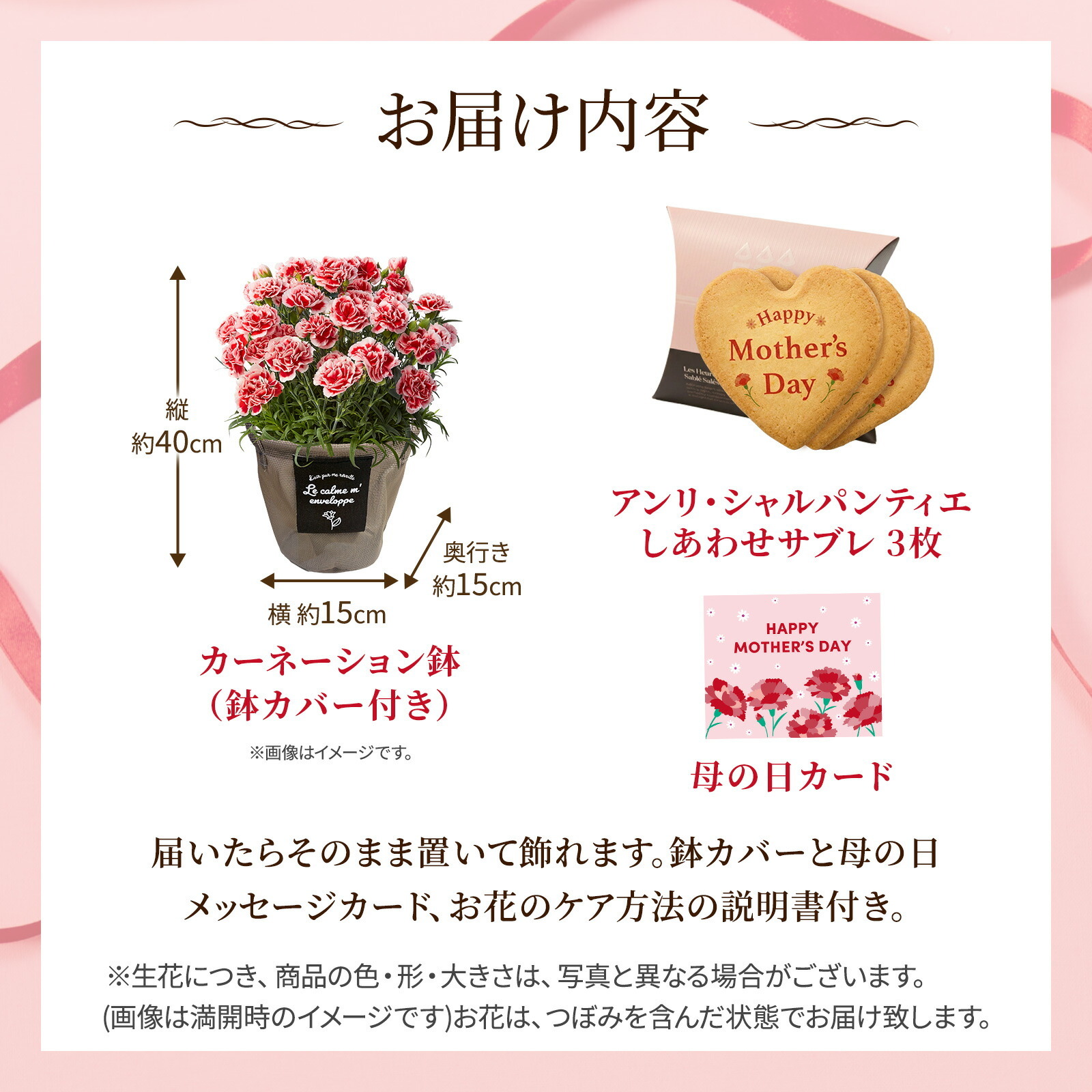 鉢植え カーネーション いちごホイップ と アンリ・シャルパンティエ しあわせサブレ のセット【母の日カード付き】