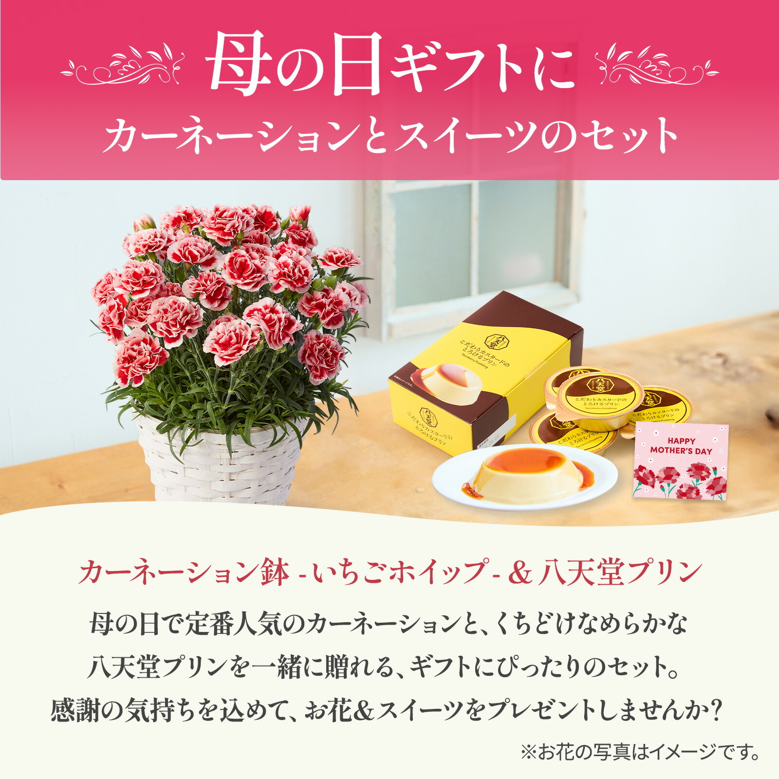 鉢植え カーネーション いちごホイップ と 八天堂プリン のセット【母の日カード付き】