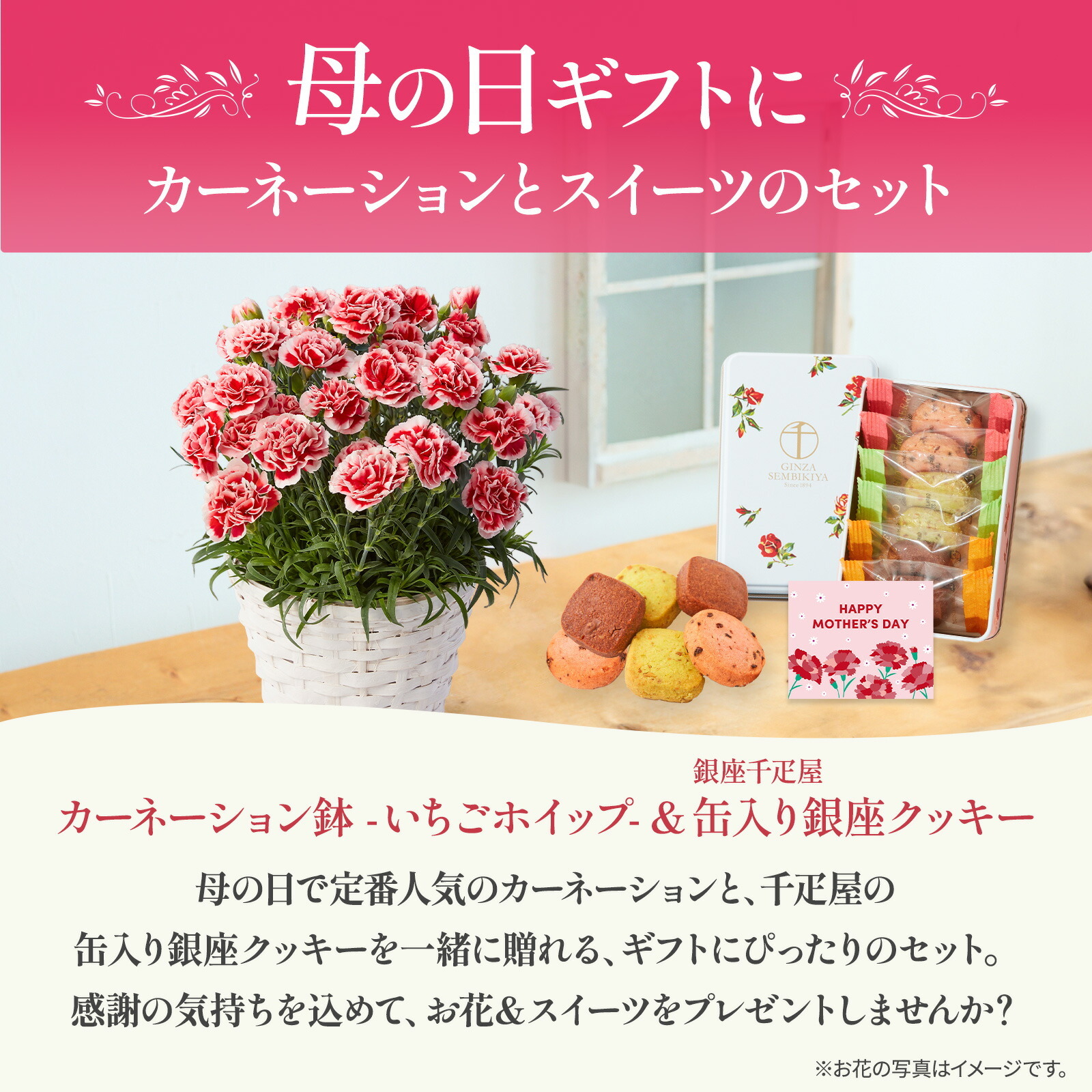 鉢植え カーネーション いちごホイップ と 銀座千疋屋クッキー のセット【母の日カード付き】
