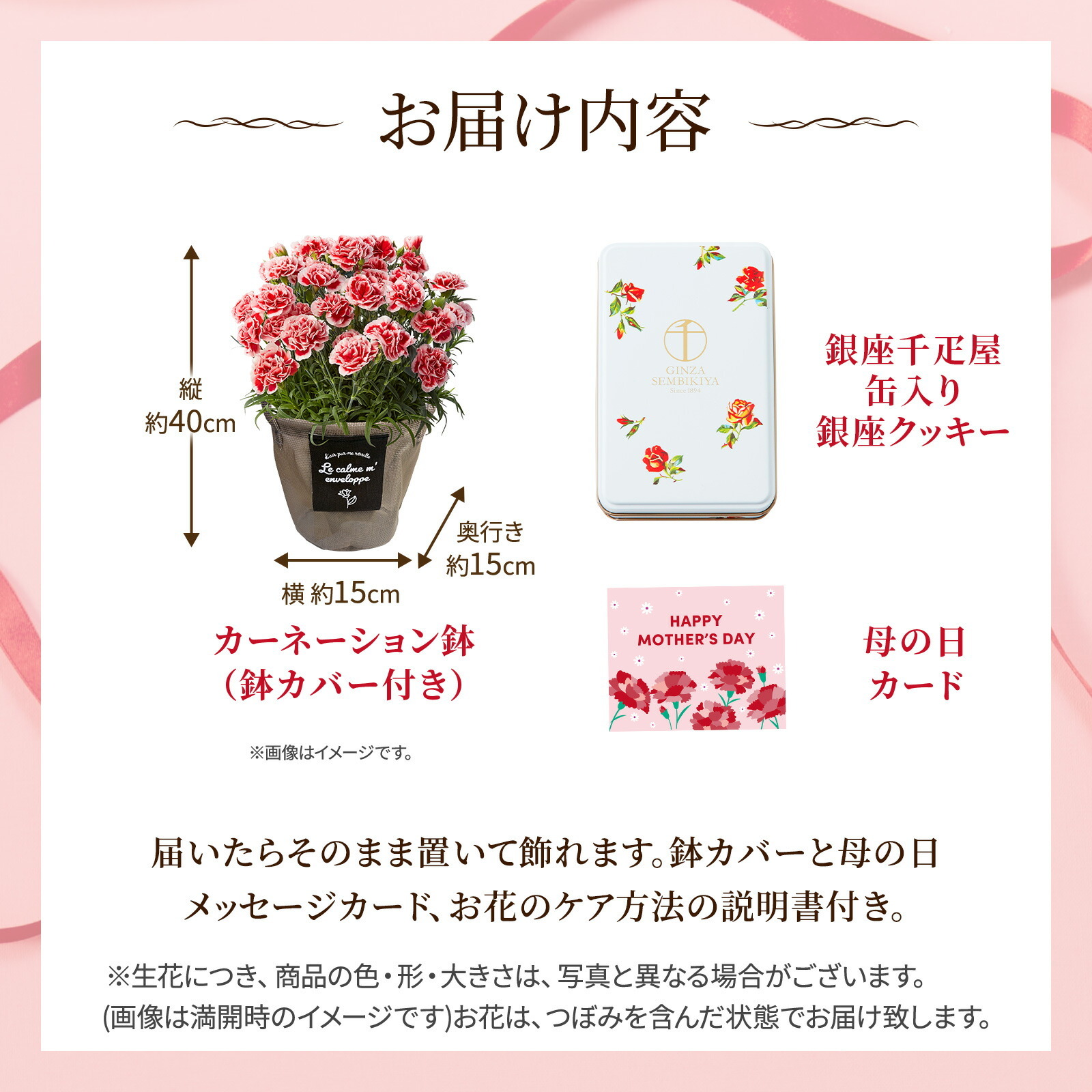 鉢植え カーネーション いちごホイップ と 銀座千疋屋クッキー のセット【母の日カード付き】