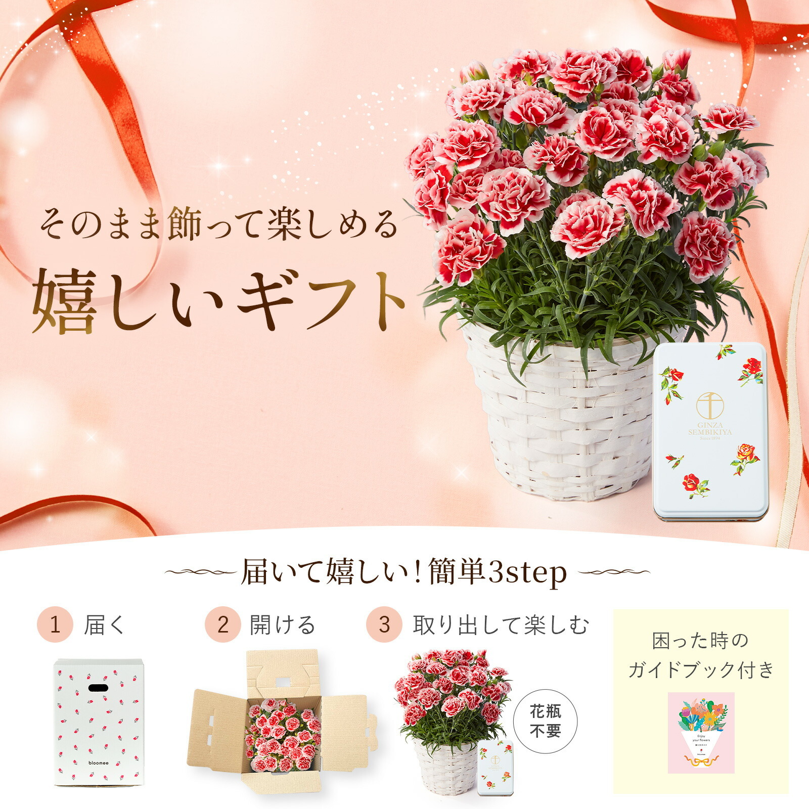 鉢植え カーネーション いちごホイップ と 銀座千疋屋クッキー のセット【母の日カード付き】