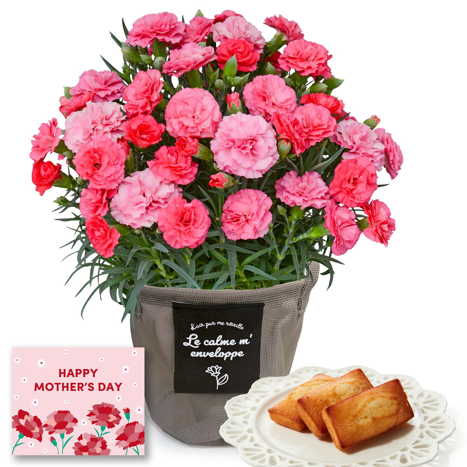 鉢植え カーネーション さくらもなか と アンリ・シャルパンティエ フィナンシェ のセット【母の日カード付き】