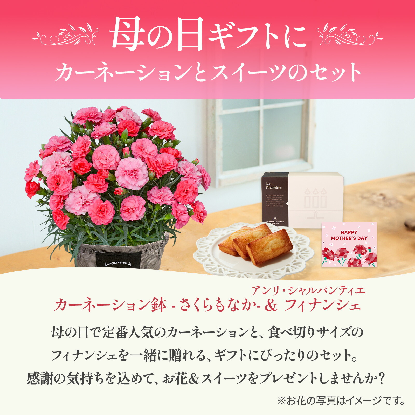 鉢植え カーネーション さくらもなか と アンリ・シャルパンティエ フィナンシェ のセット【母の日カード付き】