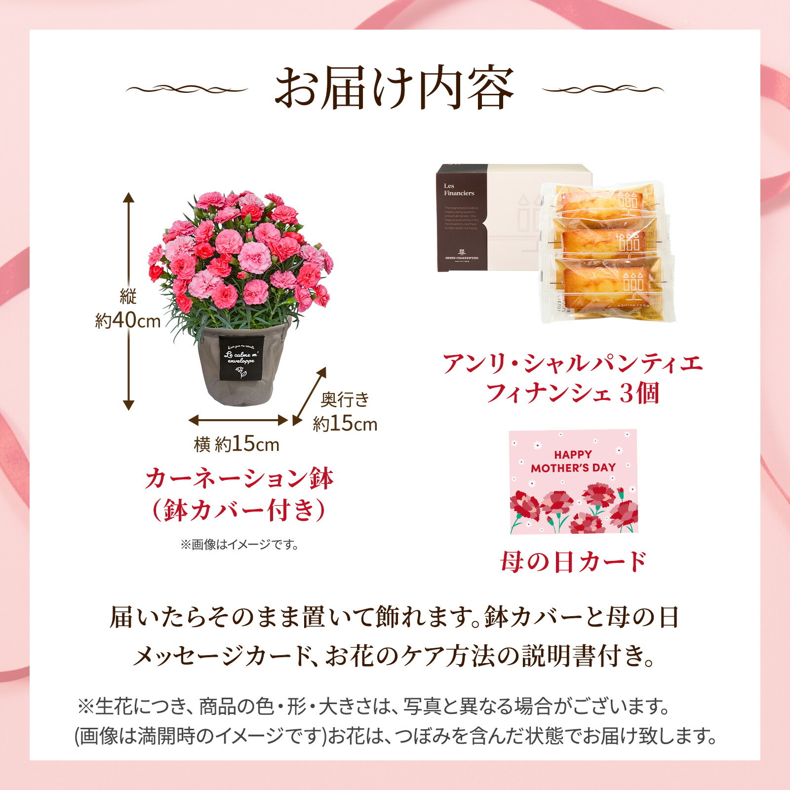 鉢植え カーネーション さくらもなか と アンリ・シャルパンティエ フィナンシェ のセット【母の日カード付き】