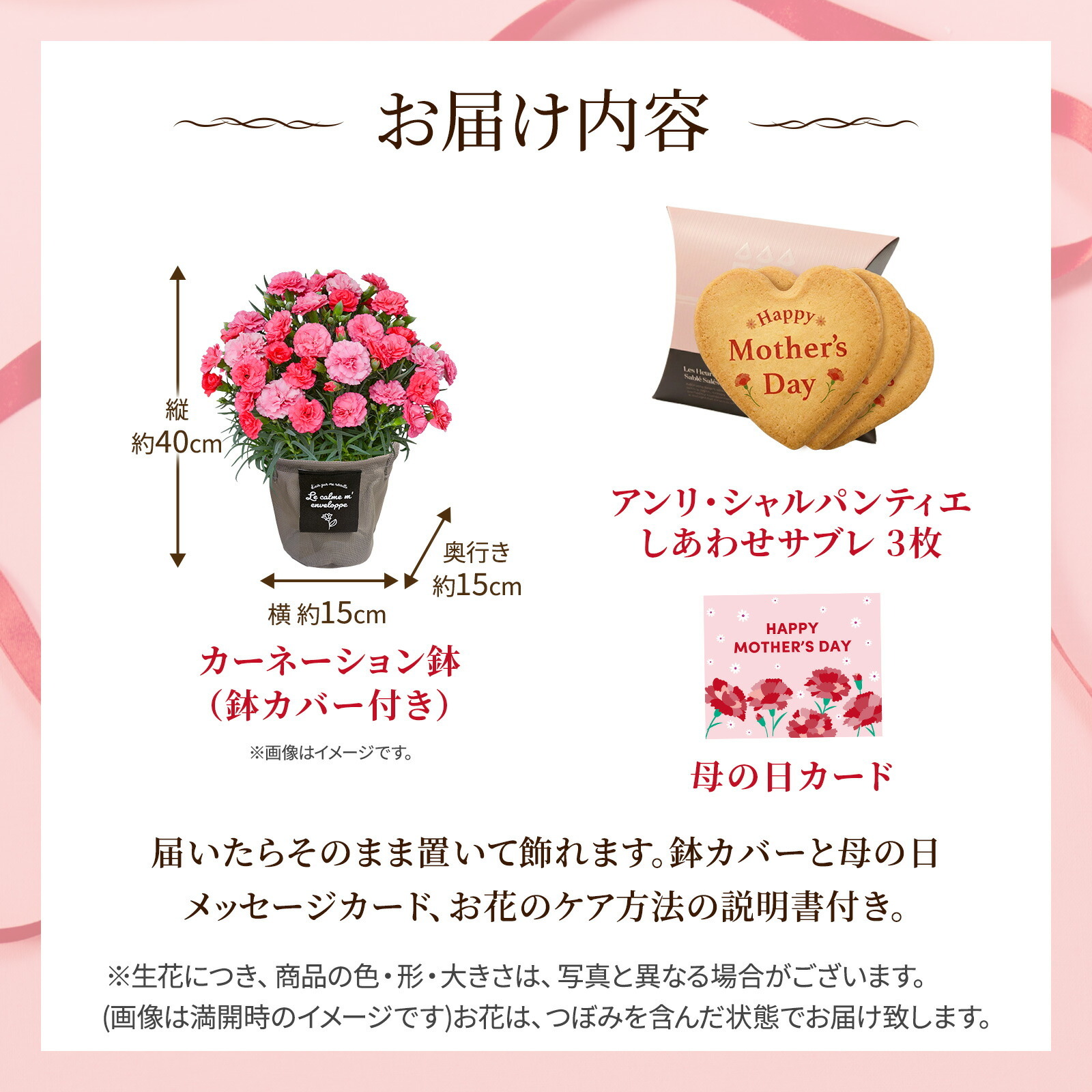 鉢植え カーネーション さくらもなか と アンリ・シャルパンティエ しあわせサブレ のセット【母の日カード付き】