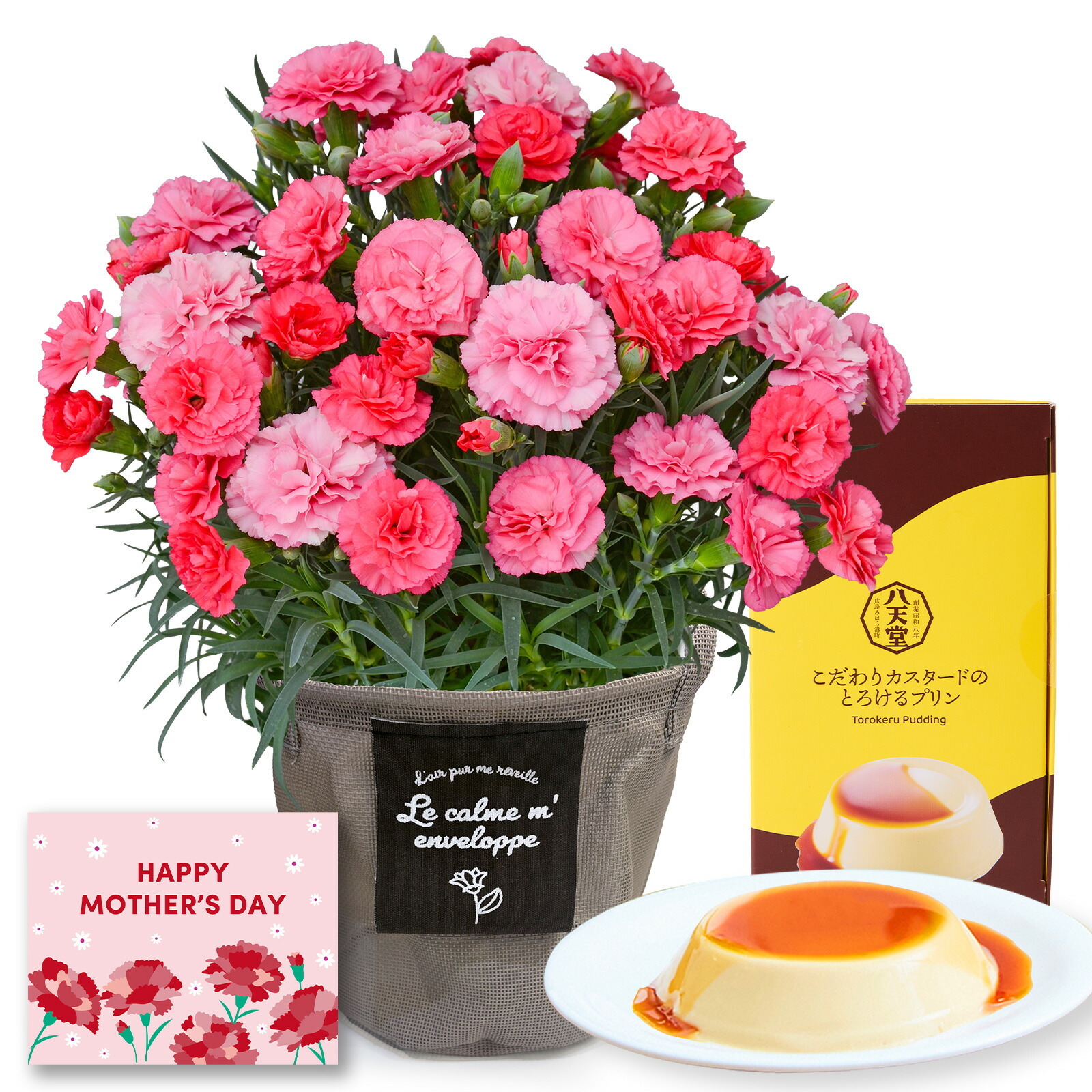 鉢植え カーネーション さくらもなか と 八天堂プリン のセット【母の日カード付き】