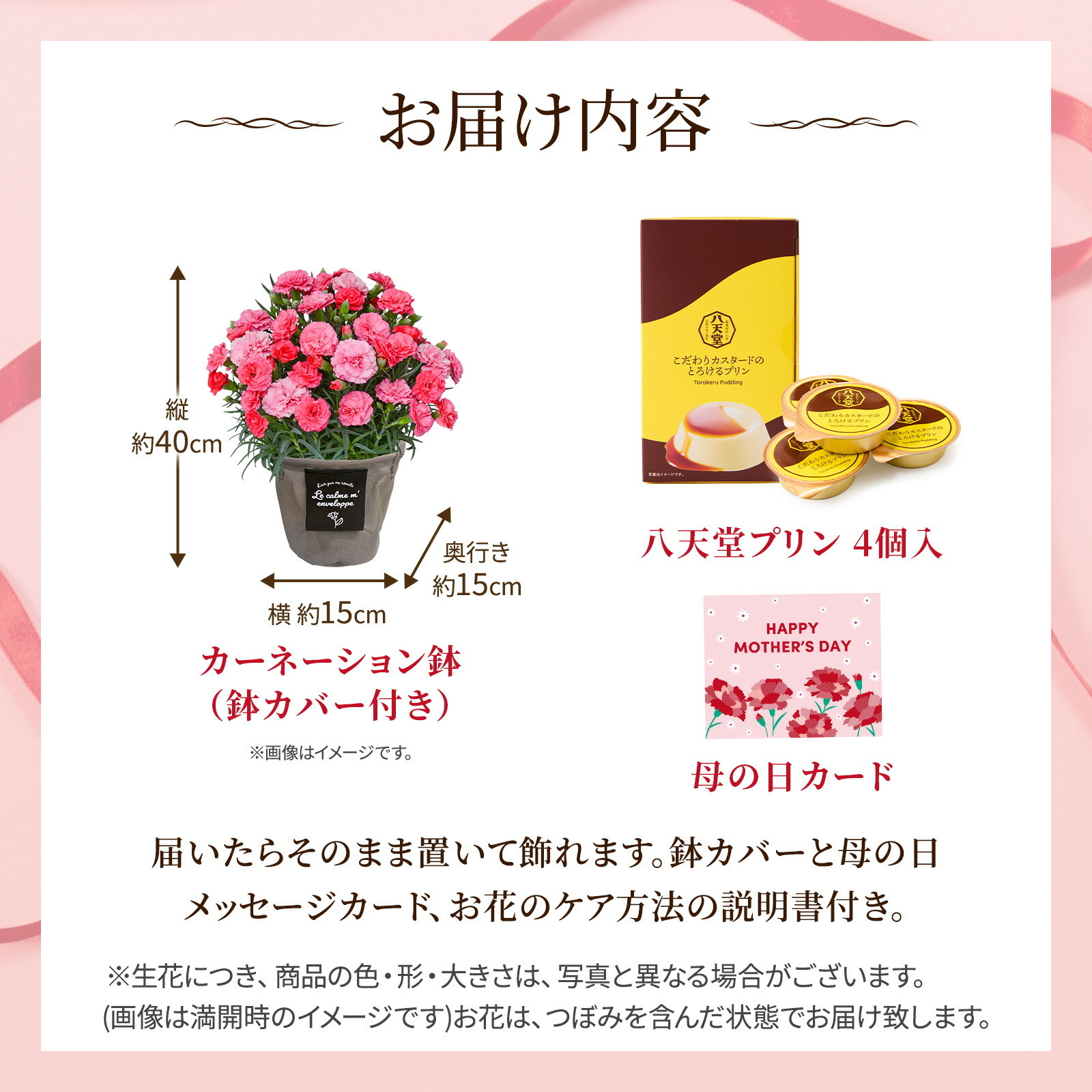 鉢植え カーネーション さくらもなか と 八天堂プリン のセット【母の日カード付き】