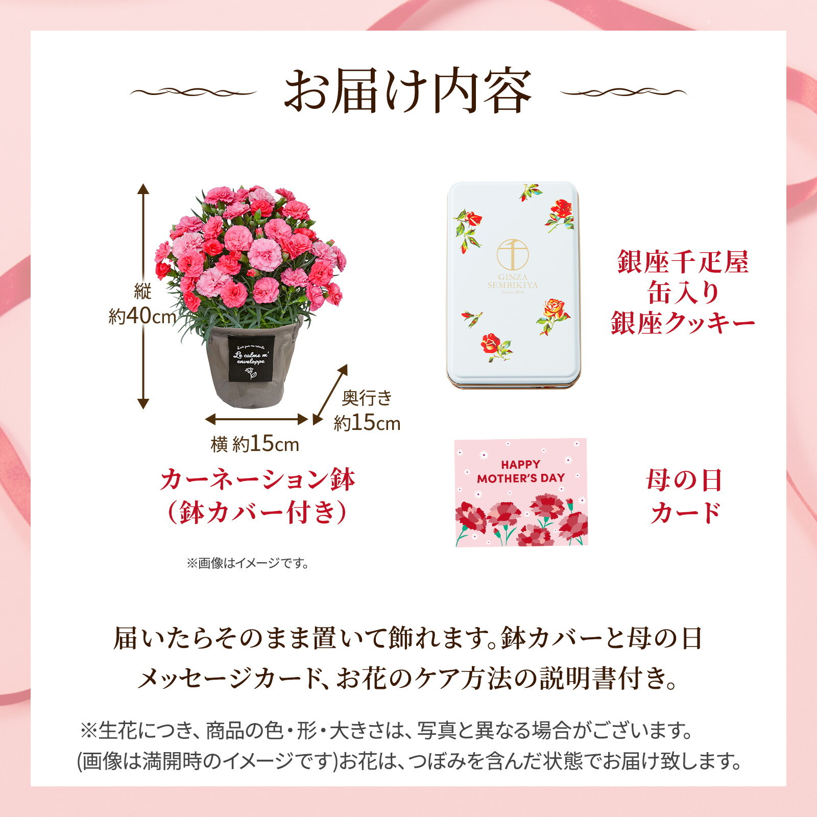 鉢植え カーネーション さくらもなか と 銀座千疋屋クッキー のセット【母の日カード付き】