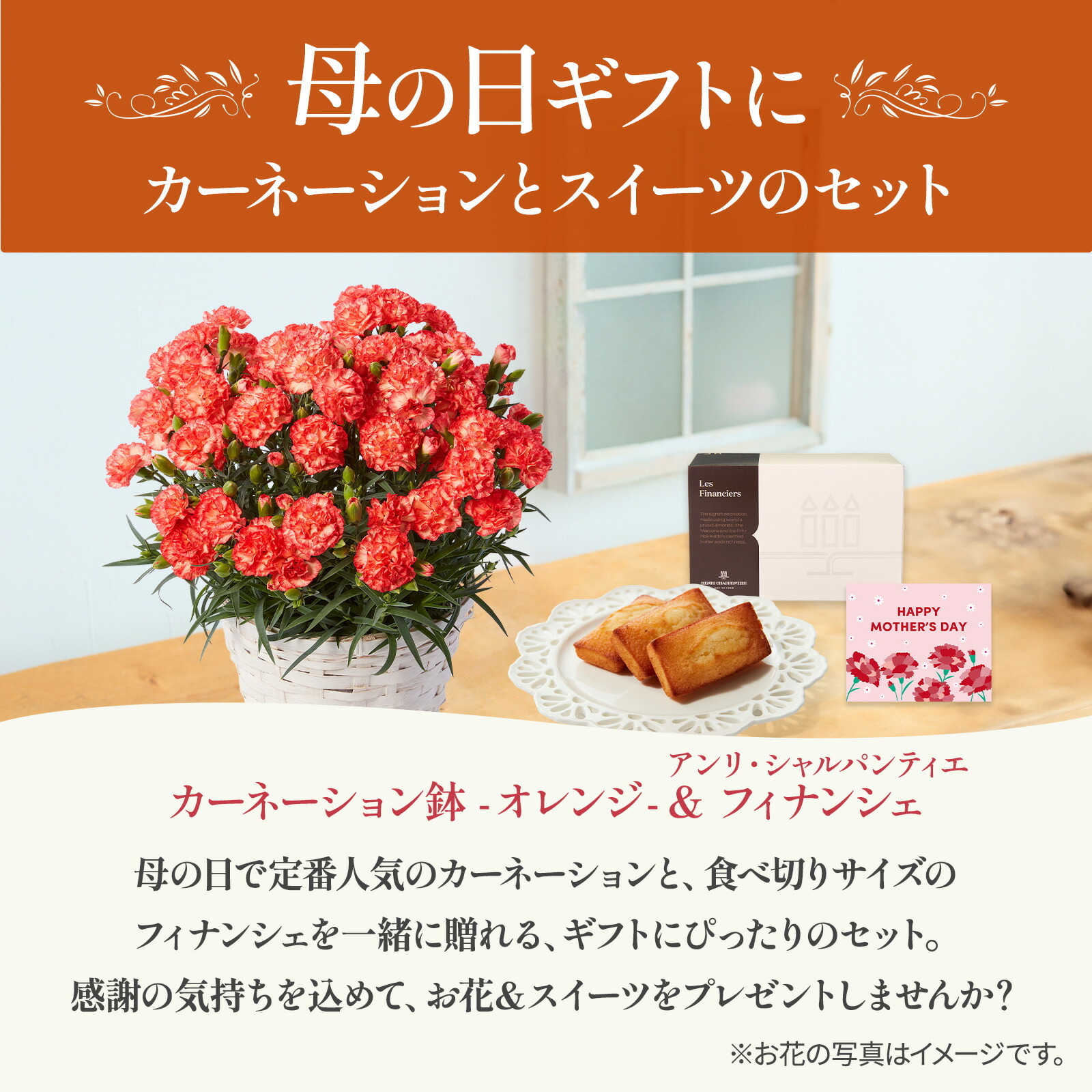 鉢植え カーネーション オレンジ(テキーラ) と アンリ・シャルパンティエ フィナンシェ のセット【母の日カード付き】