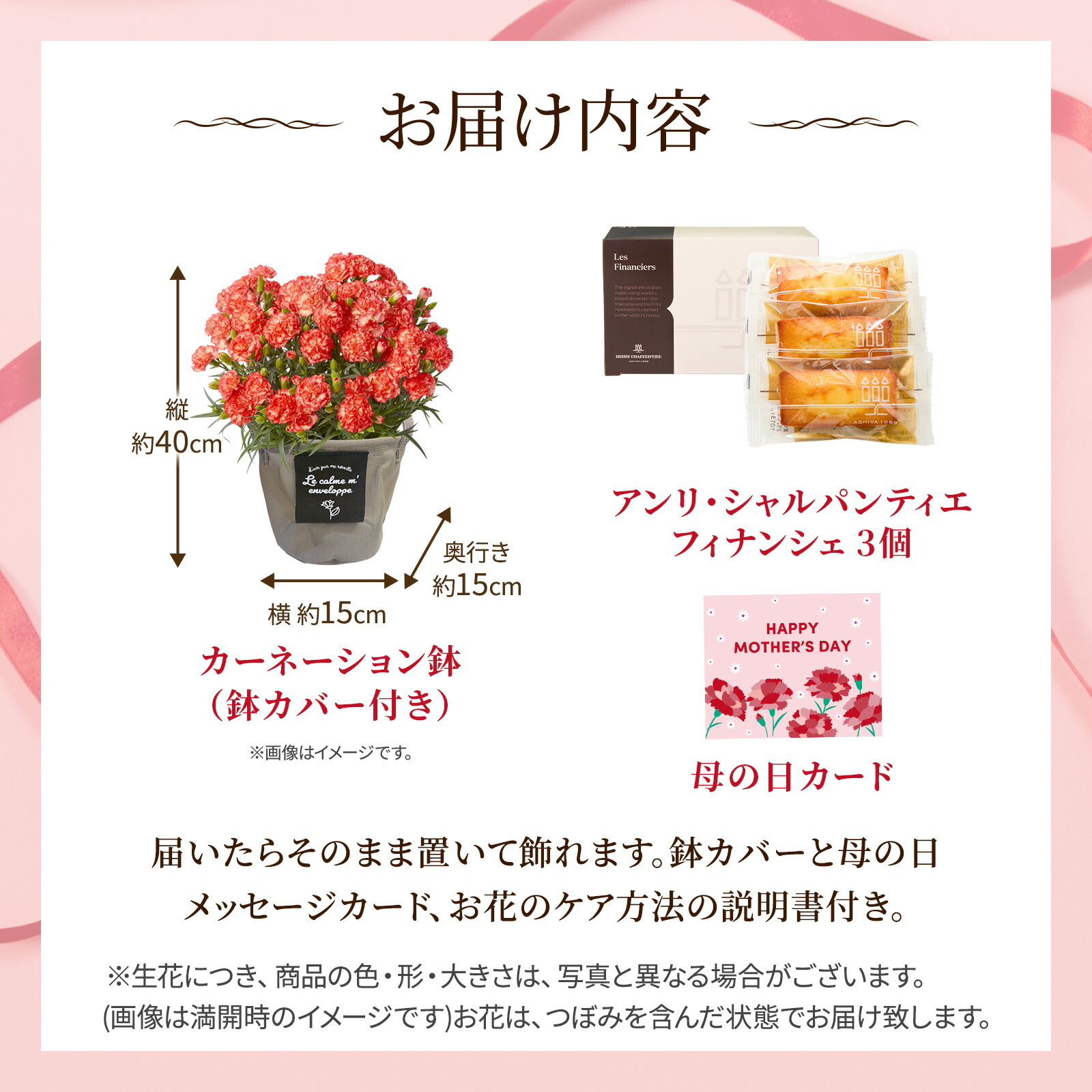 鉢植え カーネーション オレンジ(テキーラ) と アンリ・シャルパンティエ フィナンシェ のセット【母の日カード付き】