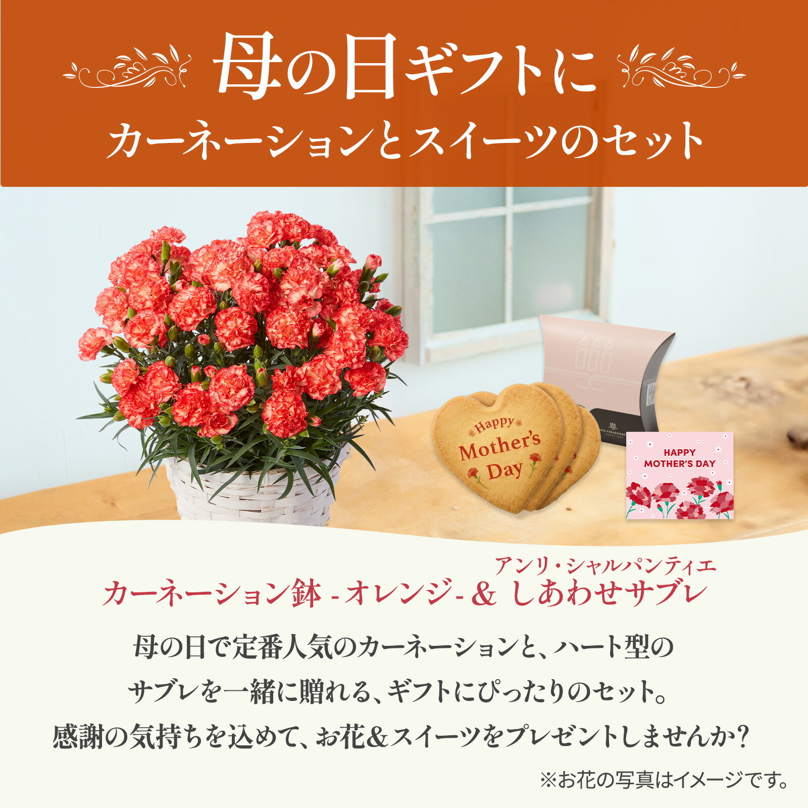 鉢植え カーネーション オレンジ(テキーラ) と アンリ・シャルパンティエ しあわせサブレ のセット【母の日カード付き】