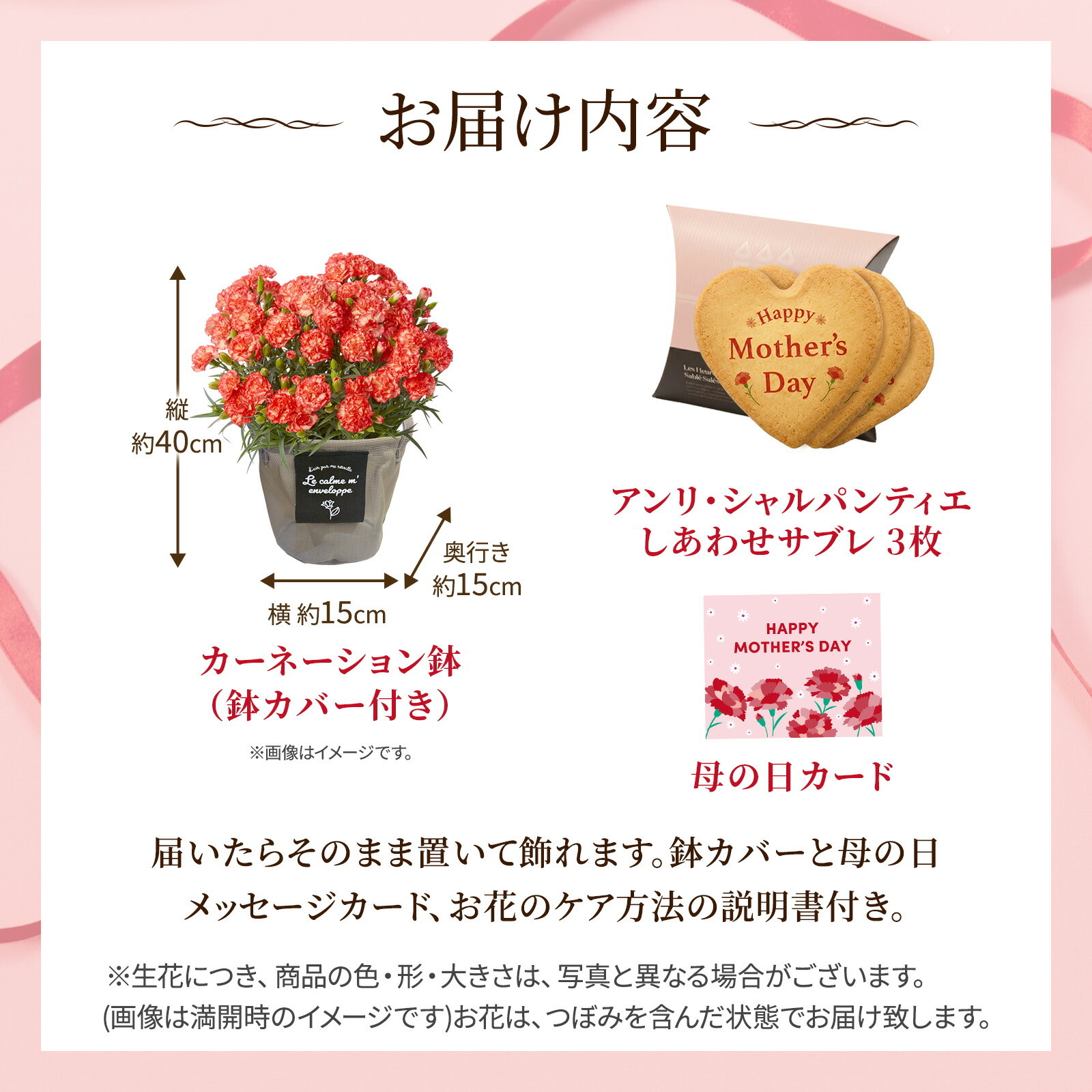 鉢植え カーネーション オレンジ(テキーラ) と アンリ・シャルパンティエ しあわせサブレ のセット【母の日カード付き】