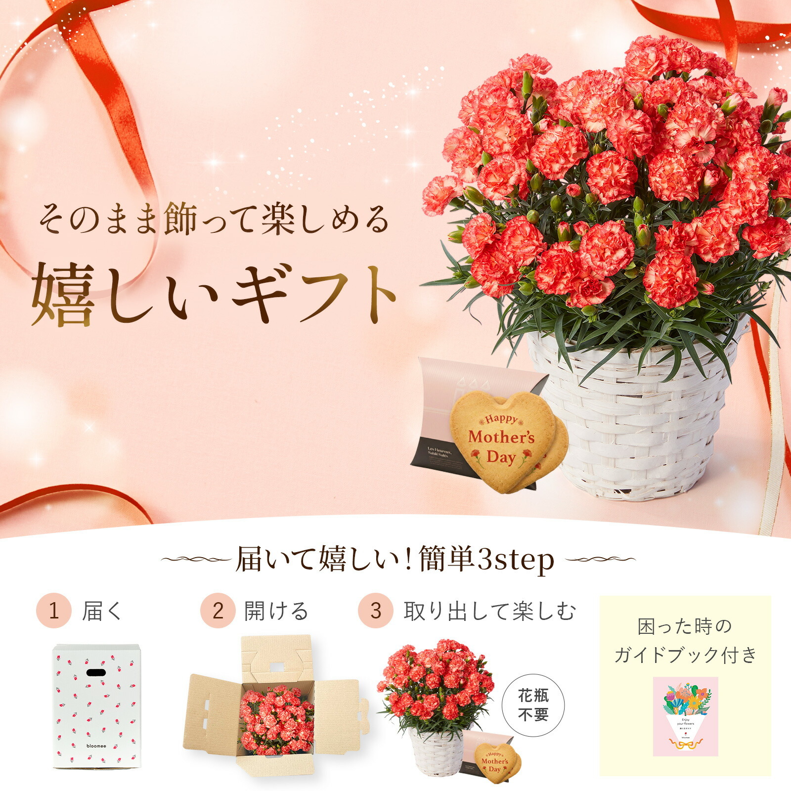 鉢植え カーネーション オレンジ(テキーラ) と アンリ・シャルパンティエ しあわせサブレ のセット【母の日カード付き】