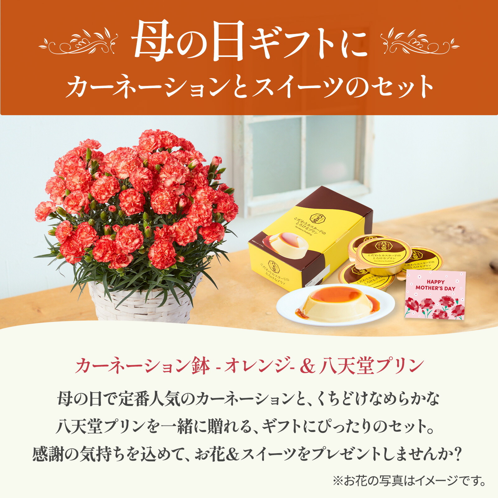 鉢植え カーネーション オレンジ(テキーラ) と 八天堂プリン のセット【母の日カード付き】